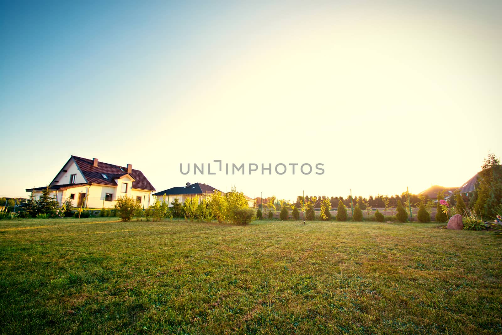 Backyard with green grass and sky. by satariel