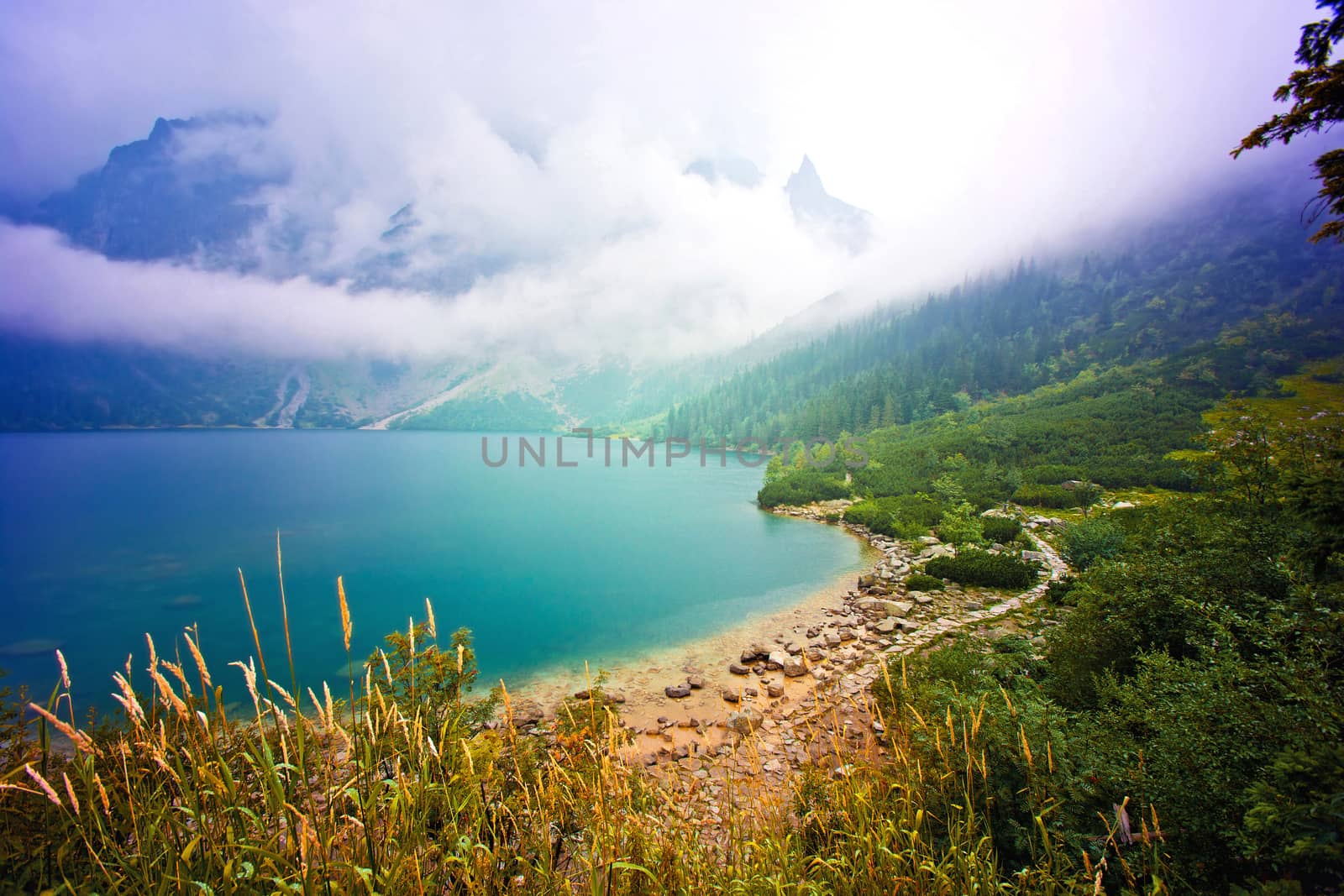 Nature in mountains. Lake in mountains. by satariel