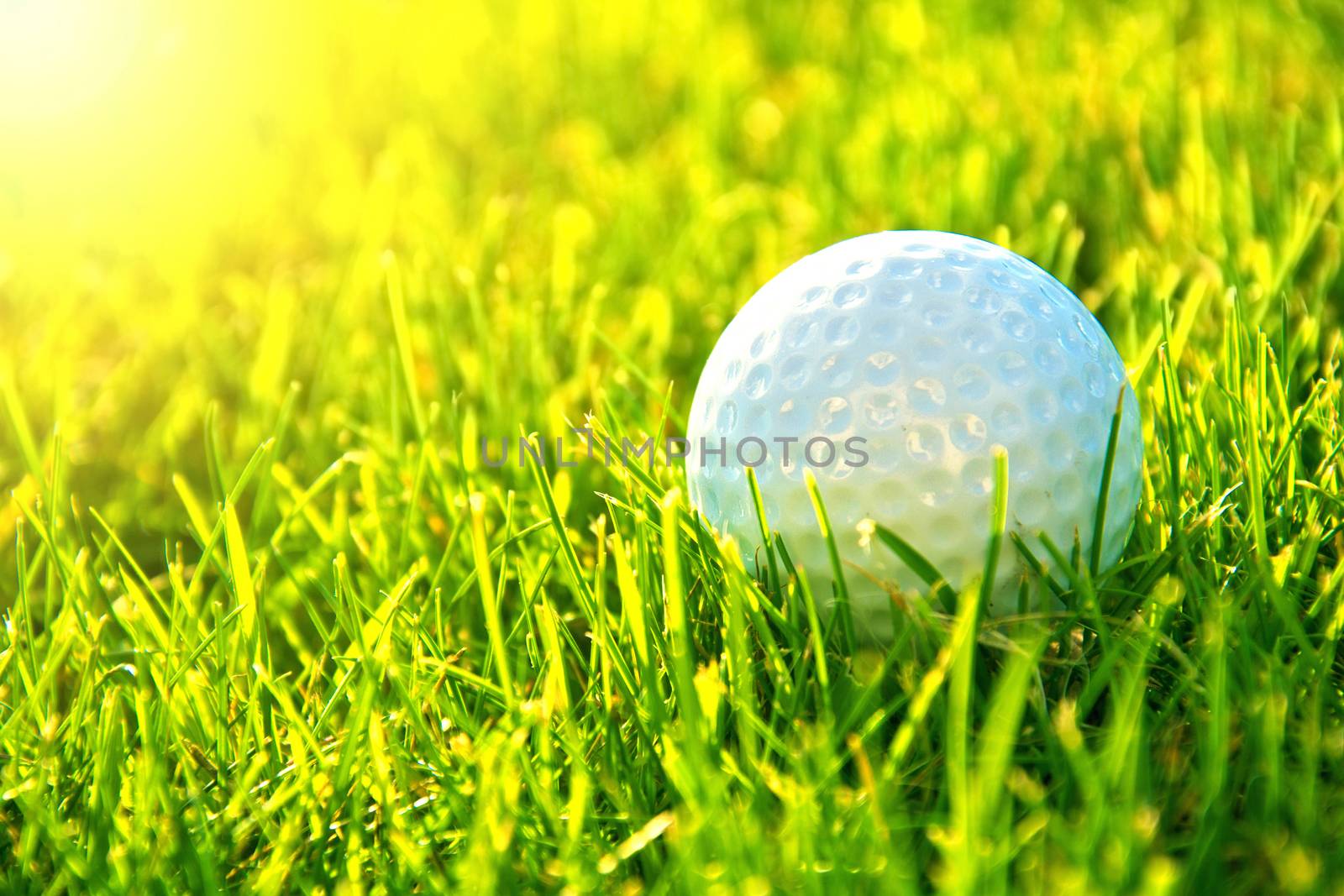 Golf game. Golf balls in grass.