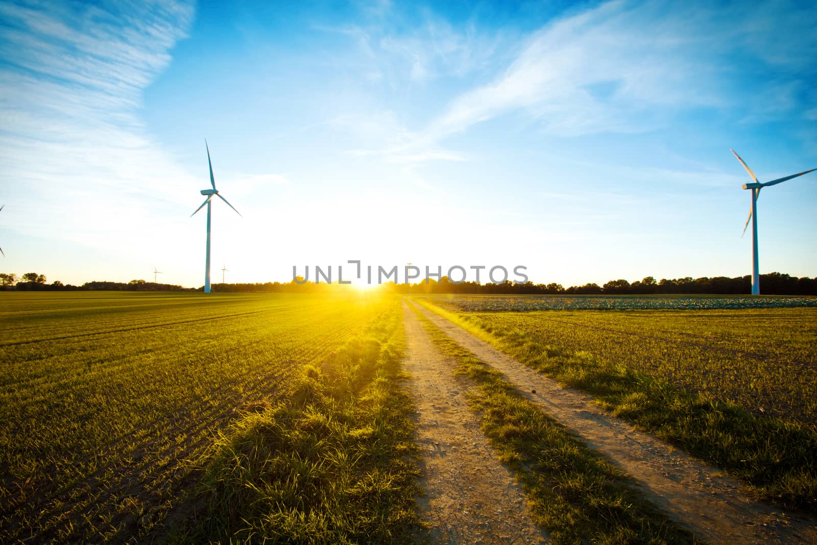 Windmills on the field at sunset. by satariel