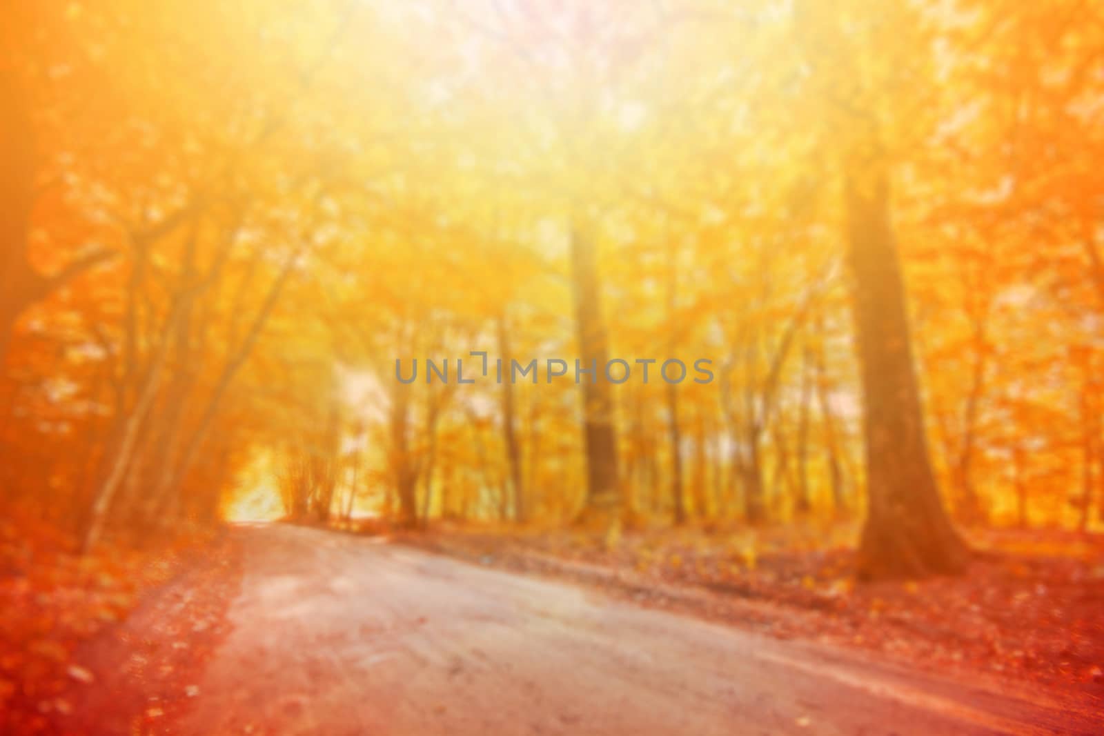 Blurred autumn scenery. by satariel