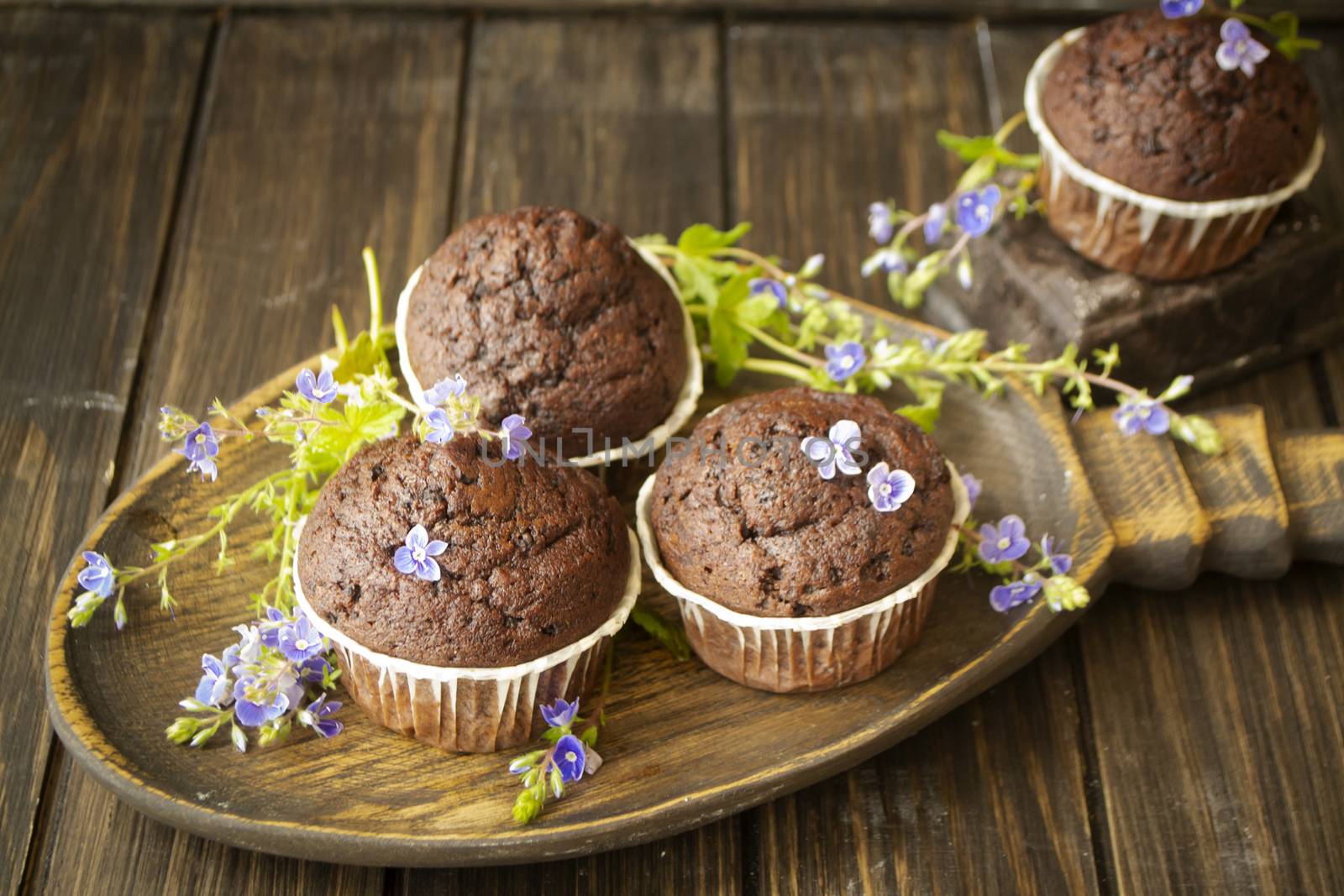 Chocolate muffins with blue spring flowers on dark wooden table