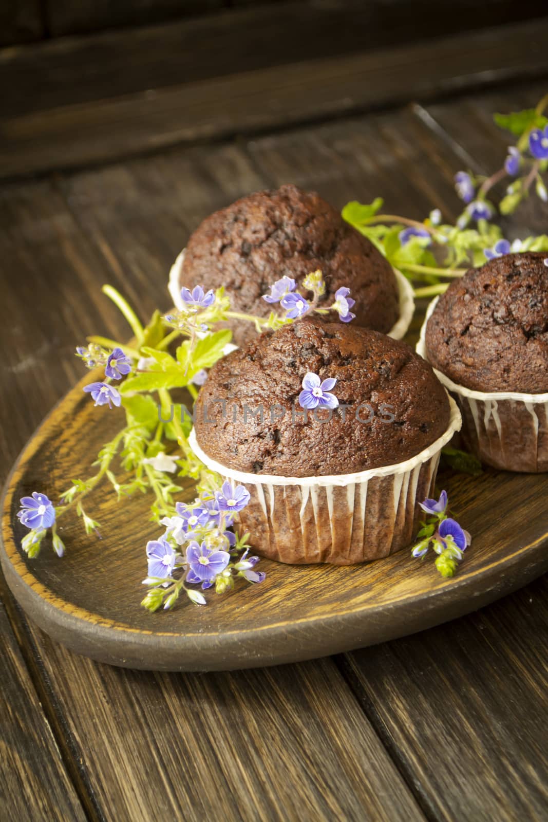 Chocolate muffin cupcakes on rustic wooden table decorated with blue flowers, vertical image