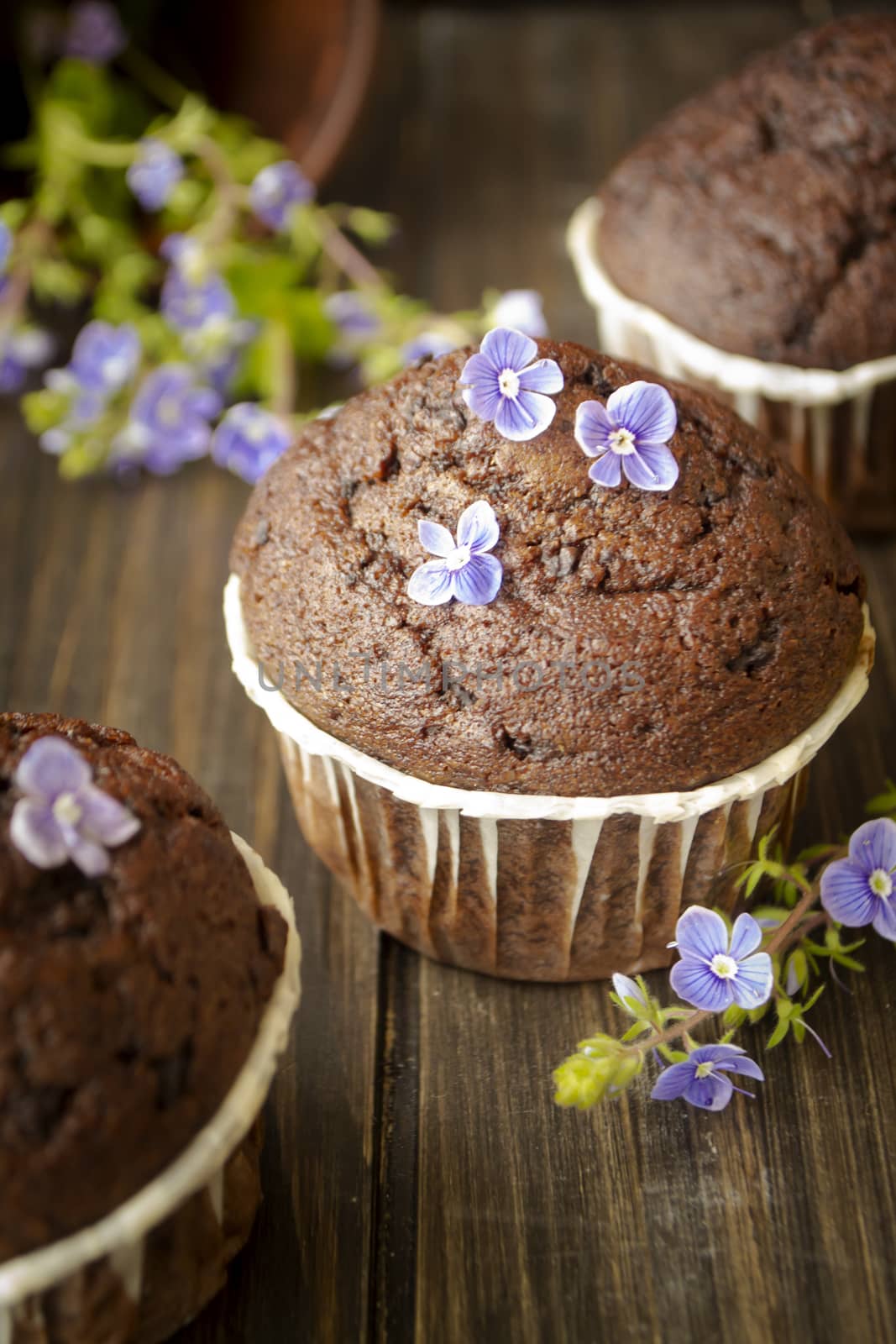 chocolate maffins decorated in blue spring flowers, vertical image