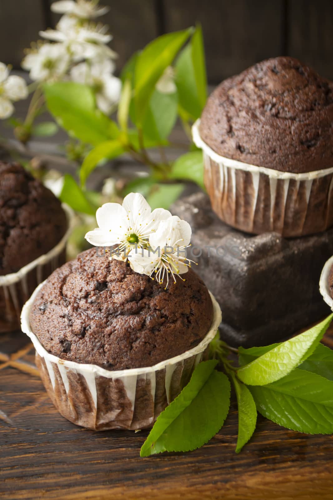 Homemade delicious chocolate muffins on dark wooden background with cherry flowers, vertical image