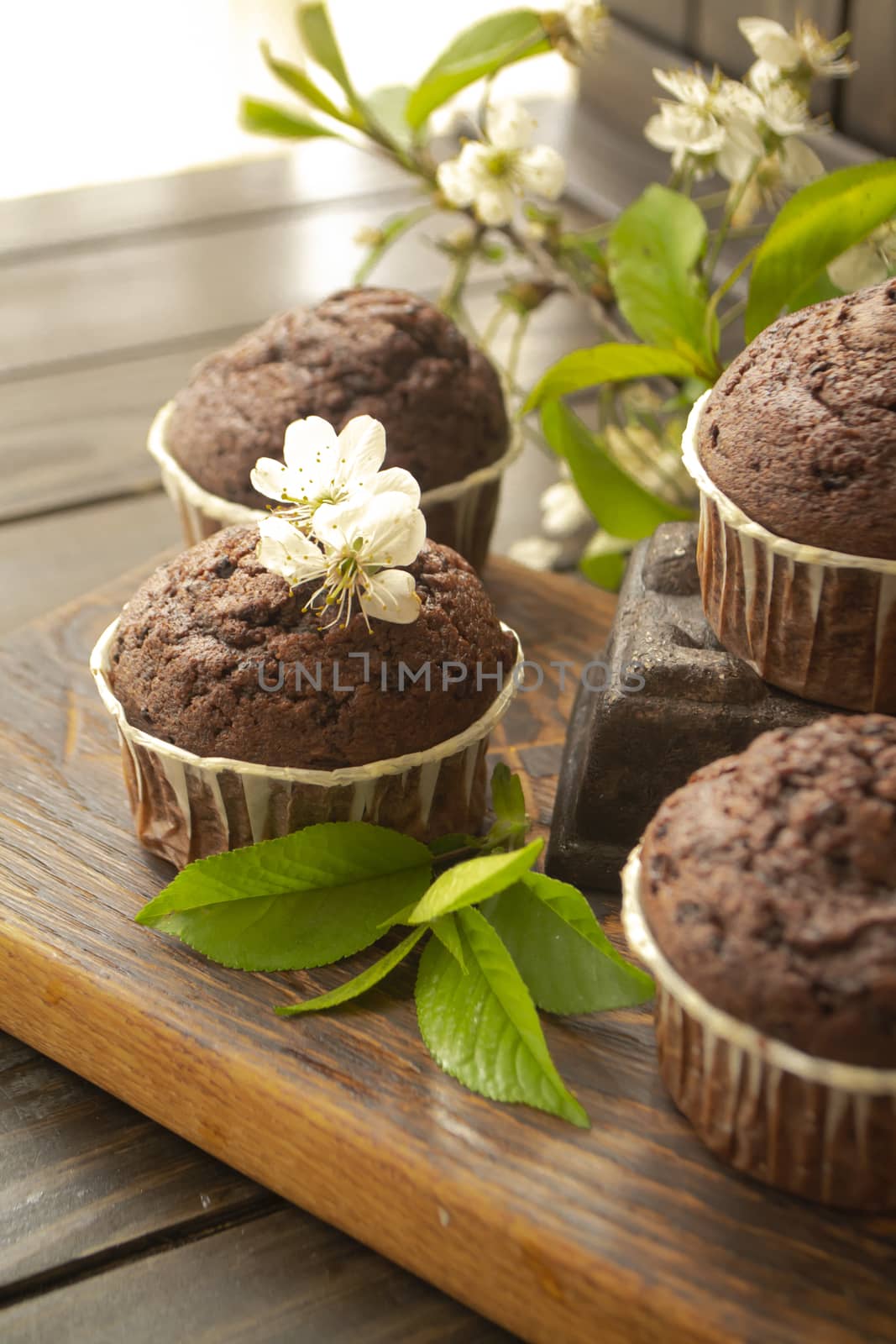 Chocolate muffin on rustic dark wooden table with flowers of cherry