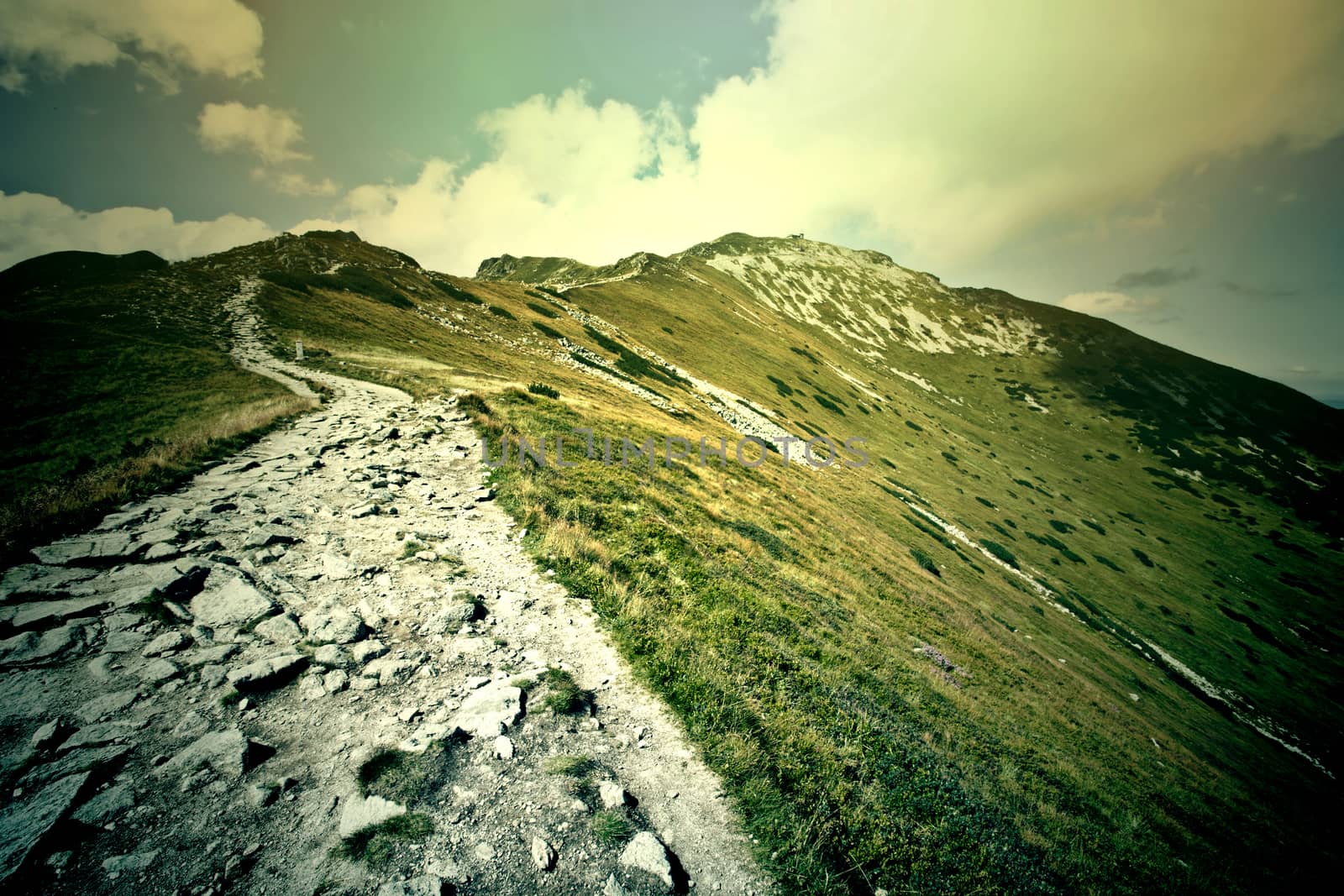 Fog in mountains. Fantasy and colorfull nature landscape. Nature conceptual image.