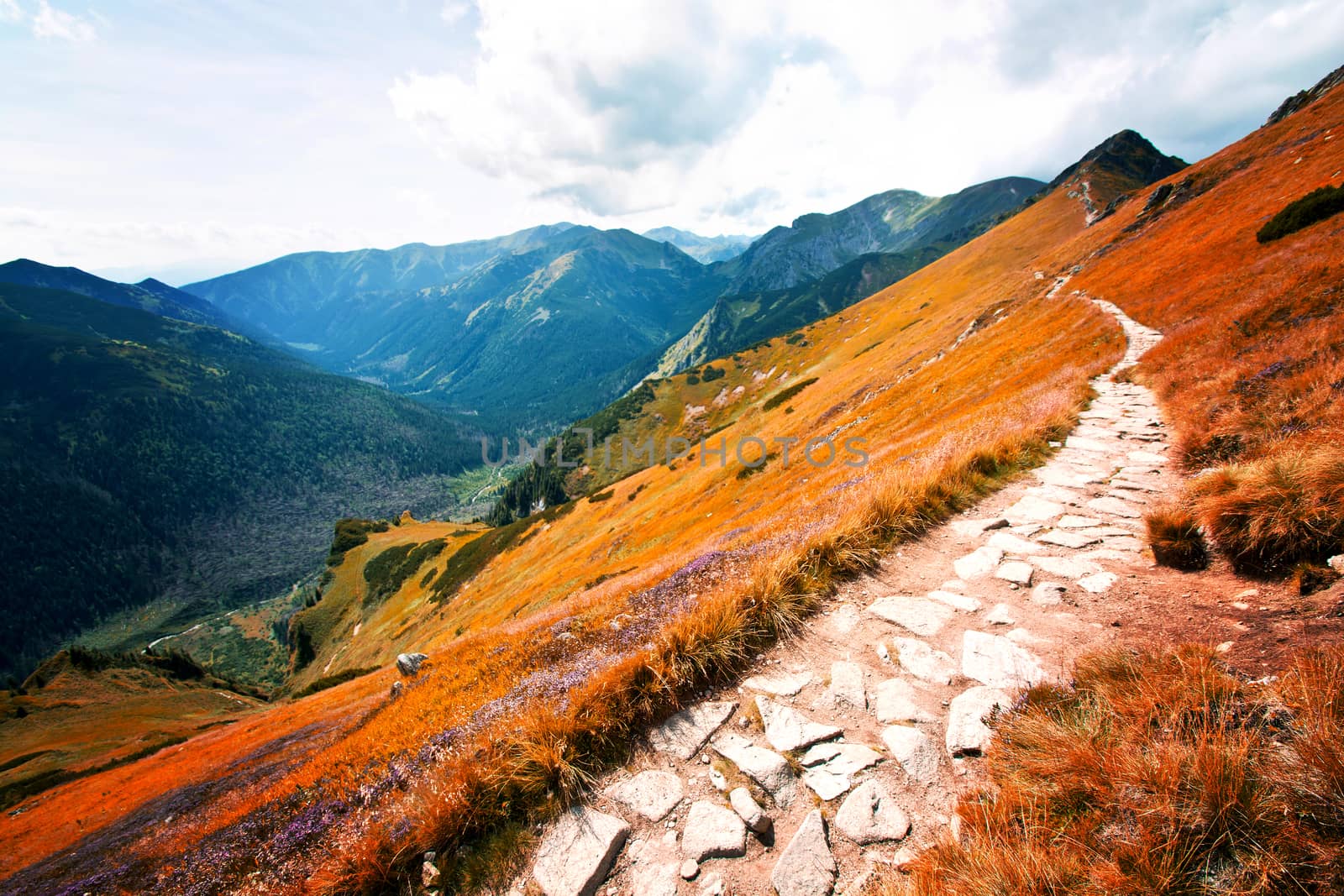 Czerwone Wierchy in Tatry Mountains, Carpathia. Fantasy and colorfull nature landscape. Nature conceptual image.