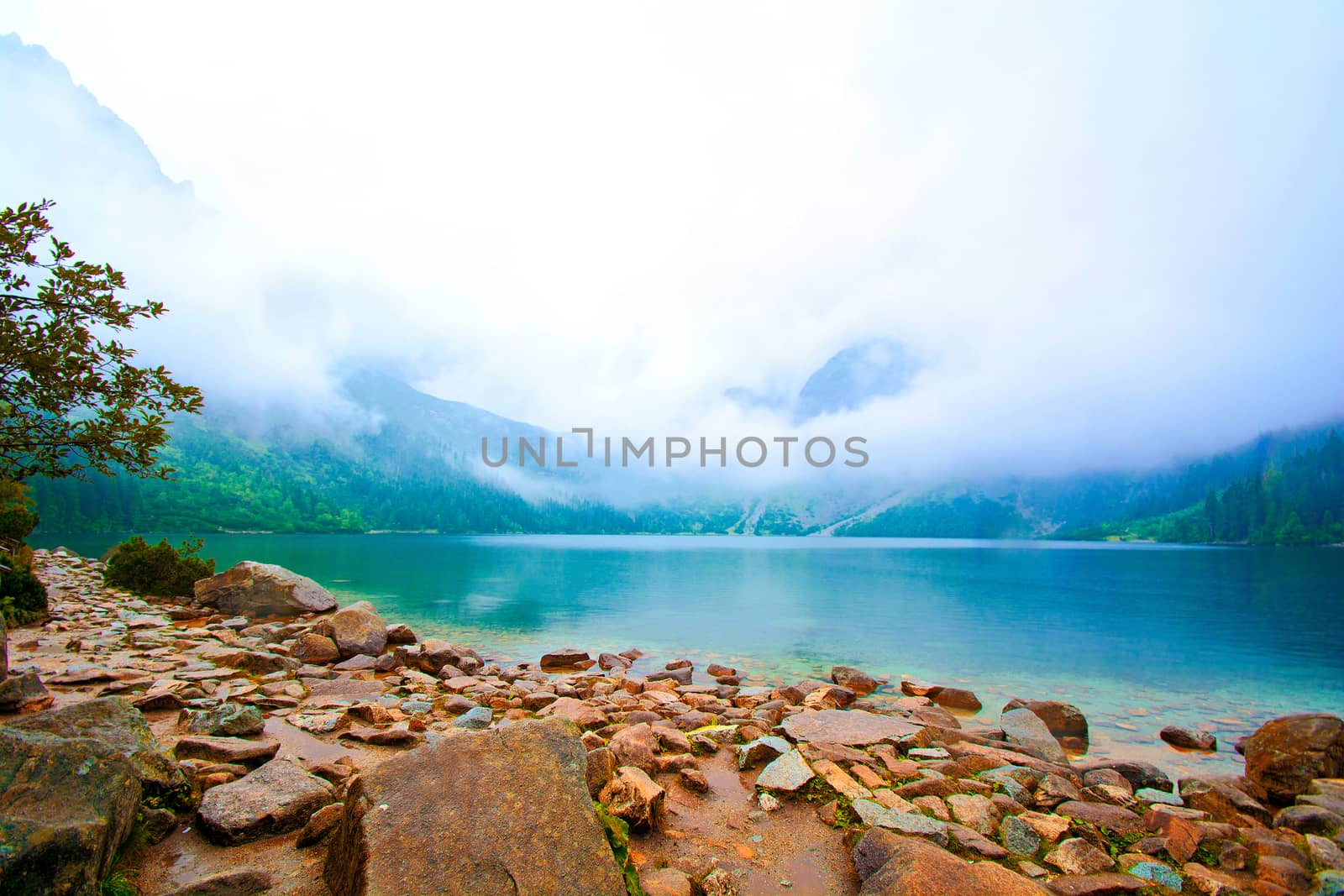 Fog over lake in mountains. Fantasy and colorfull nature landscape. Nature conceptual image. Morskie Oko in Tatry, Poland.