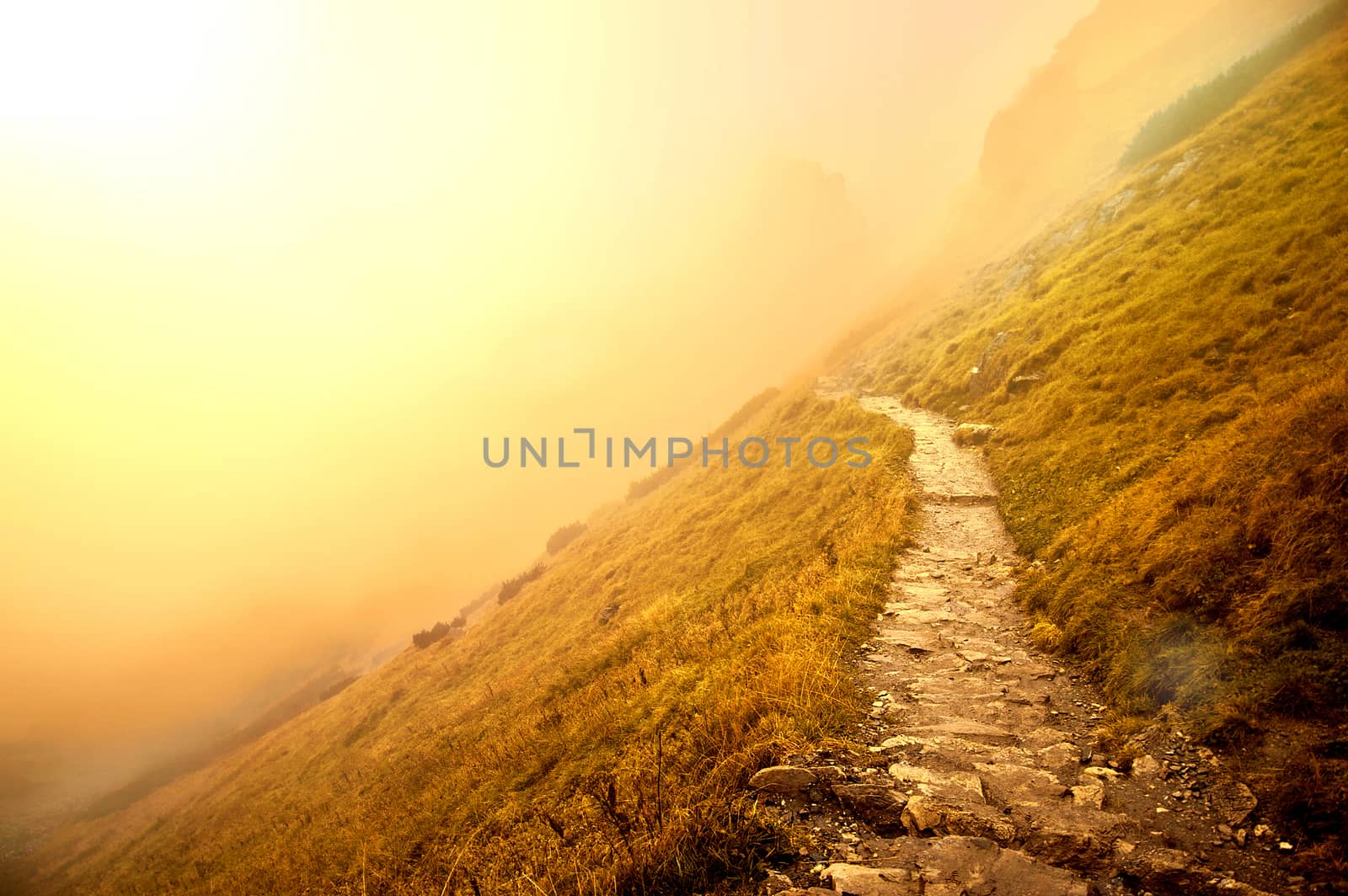 Fog in mountains. Fantasy and colorfull nature landscape. Nature conceptual image.