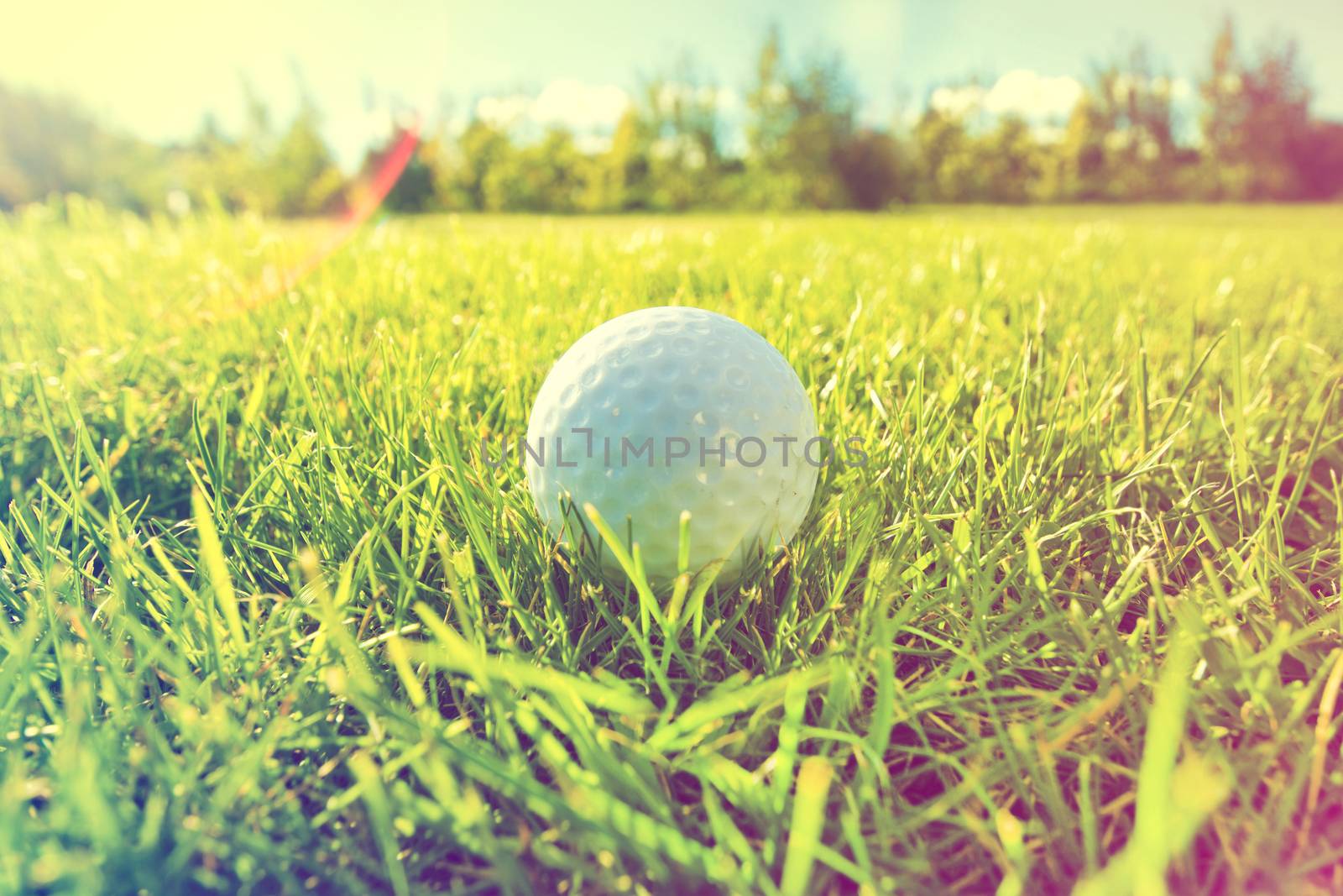 Golf game. Golf balls in grass. Instagram vintage picture.