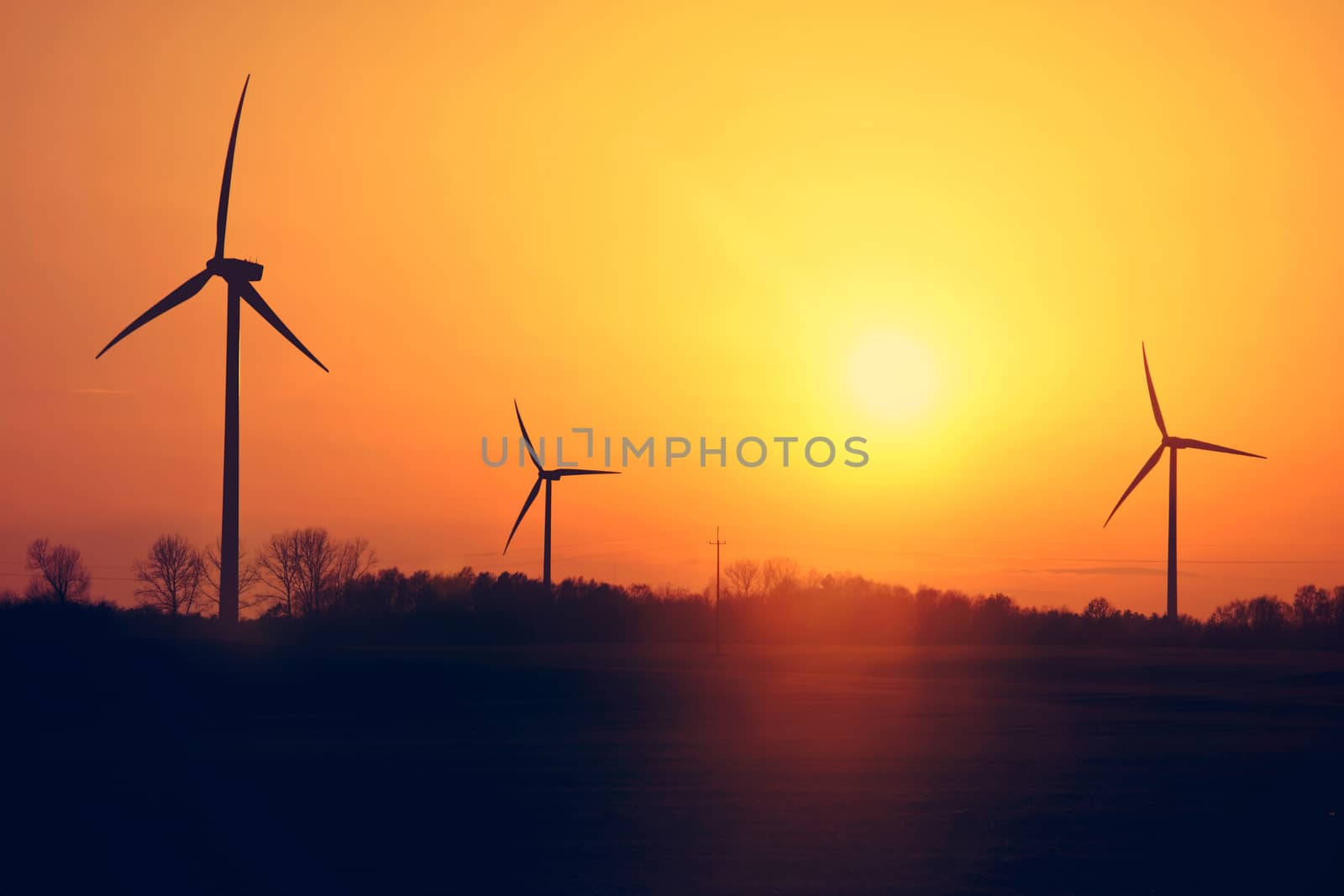 Windmills and sunset. Alternative and ecological energy source