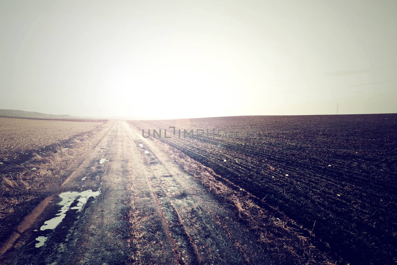 Country road in cold vintage colors. Outdoor concept.