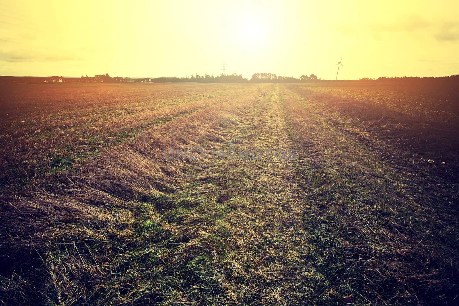 Country field and bright sun. Instagram vintage picture.