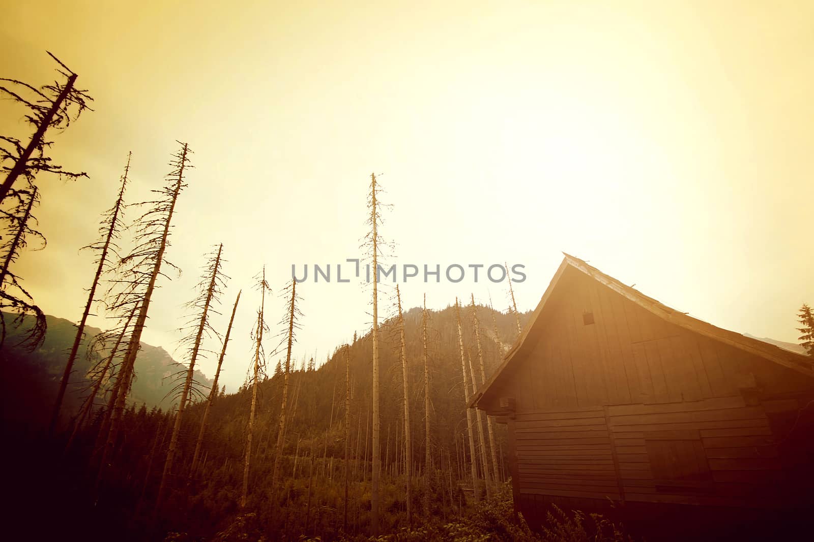 Mountains abstract nature landscape. by satariel