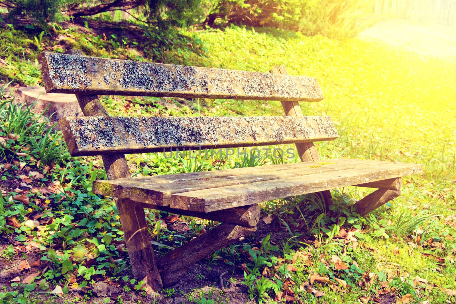 Old bench in the park at summer. by satariel