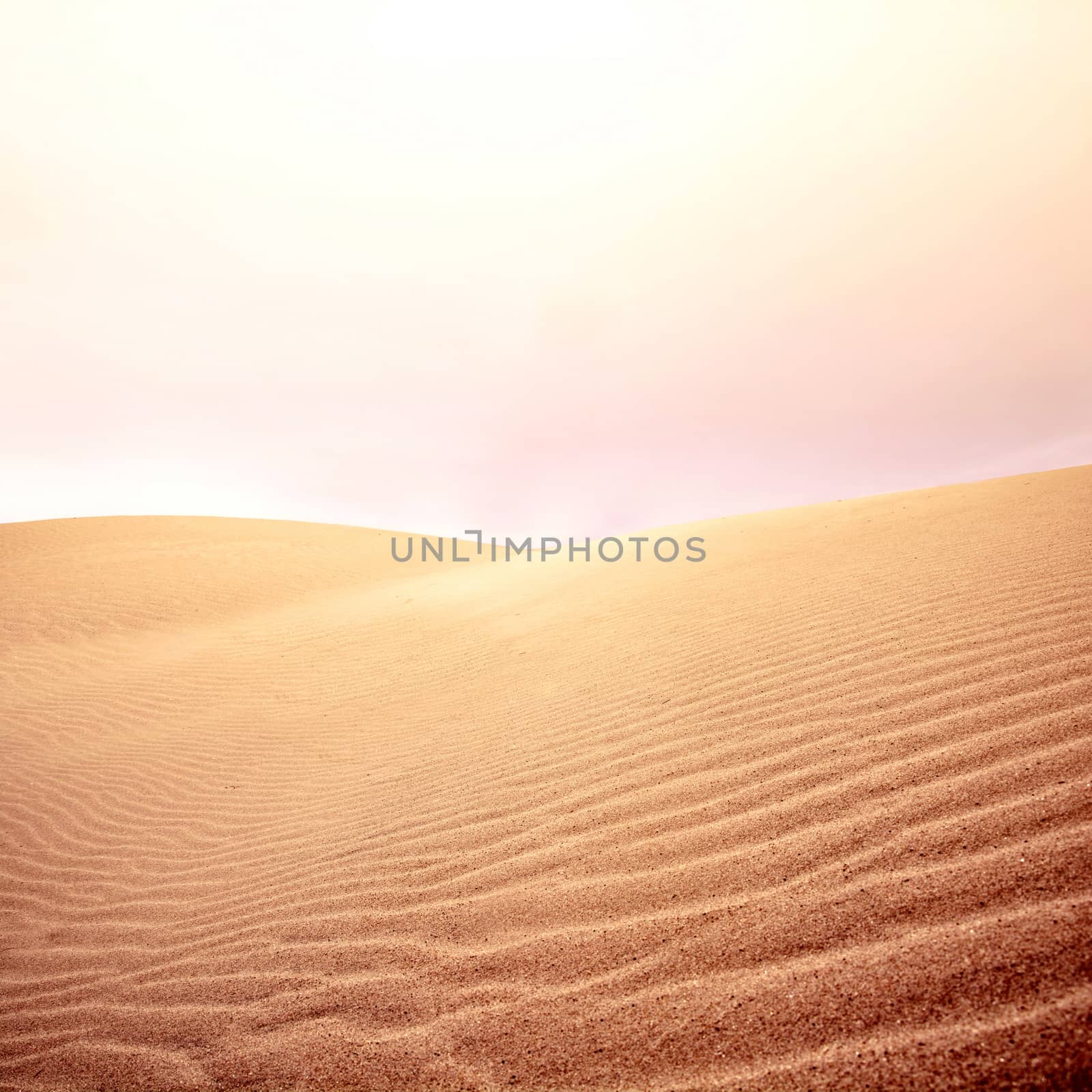 Sand dunes and sky. Hot day in the desert. Nature landscape.