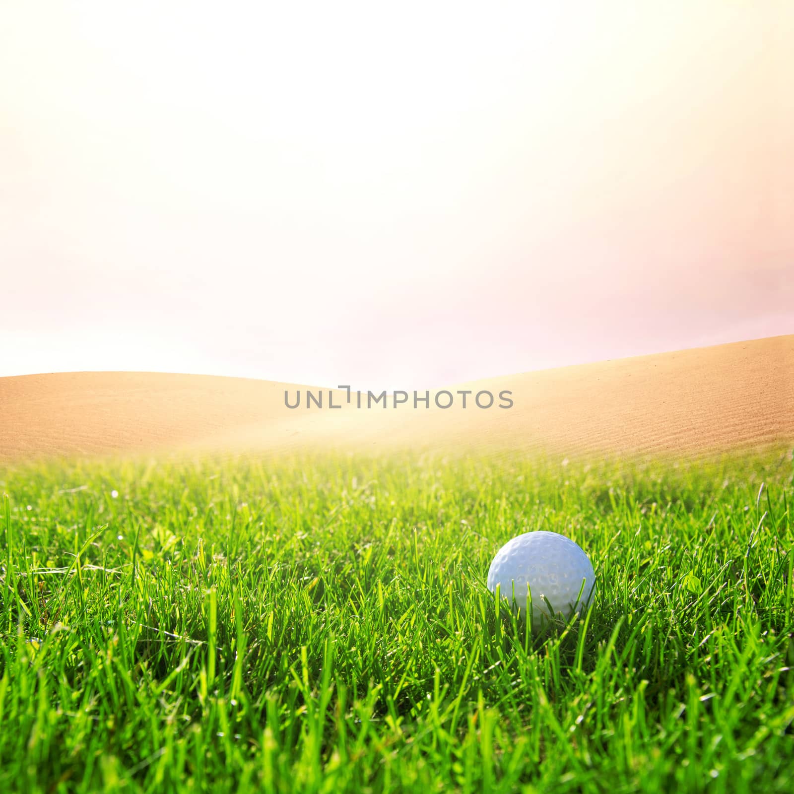 Golfball on the golf course. by satariel