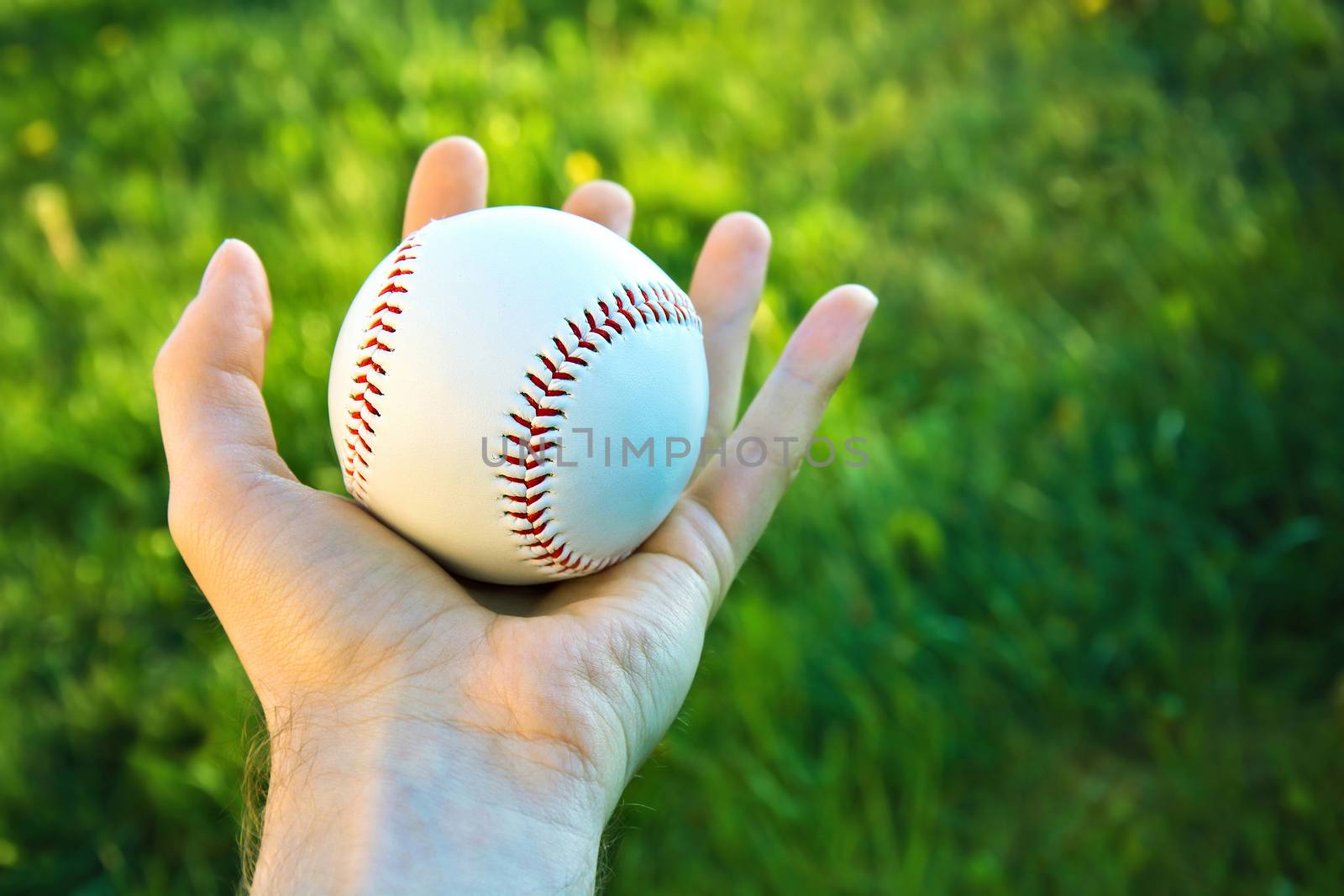 Baseball game. Baseball ball holding by hand against green fresh grass.