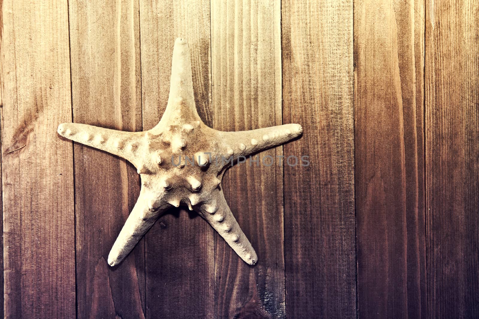 Starfish on the wooden background. Marine life. Retro vintage picture.