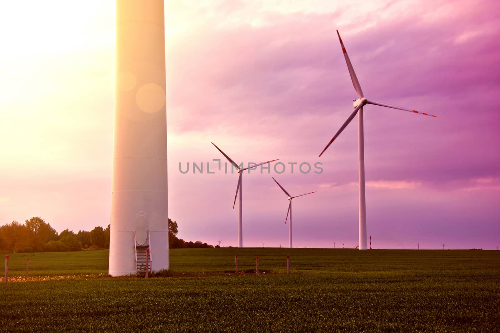 Windmills on the windfarm agriculture land. Field  and sky at sunset. Green renewable alternative energy source.