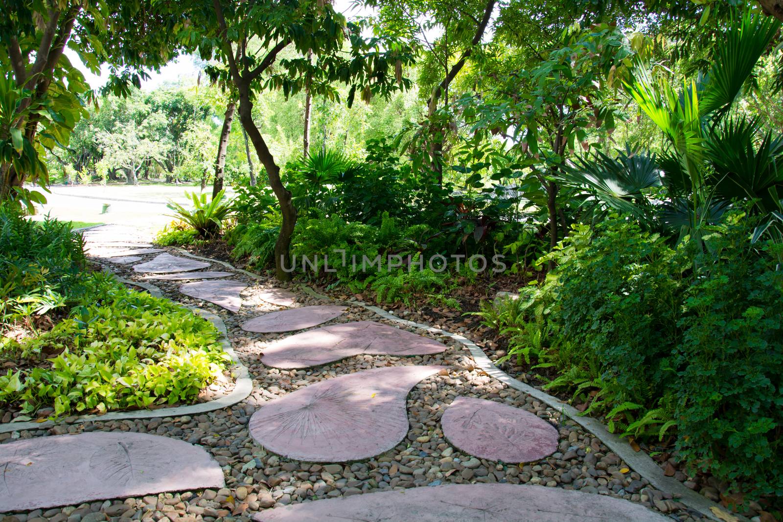 Landscaping in the garden. The path in the garden