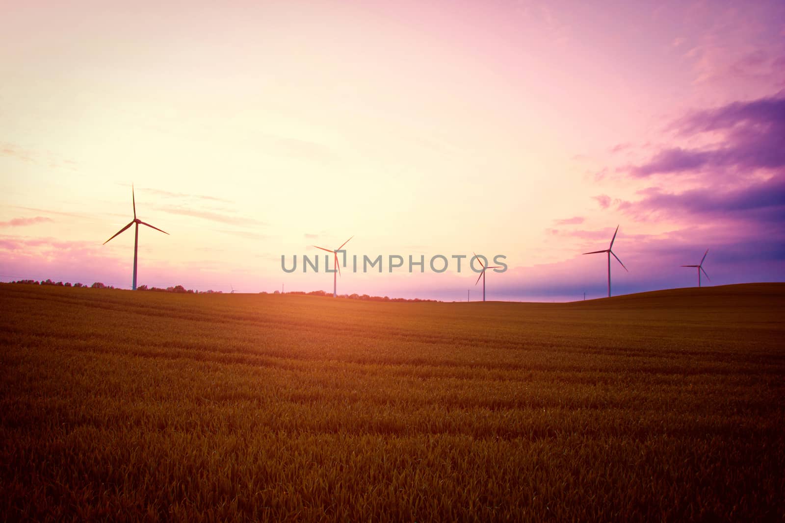 Windmills on the windfarm agriculture land. Field  and sky at sunset. Green renewable alternative energy source.