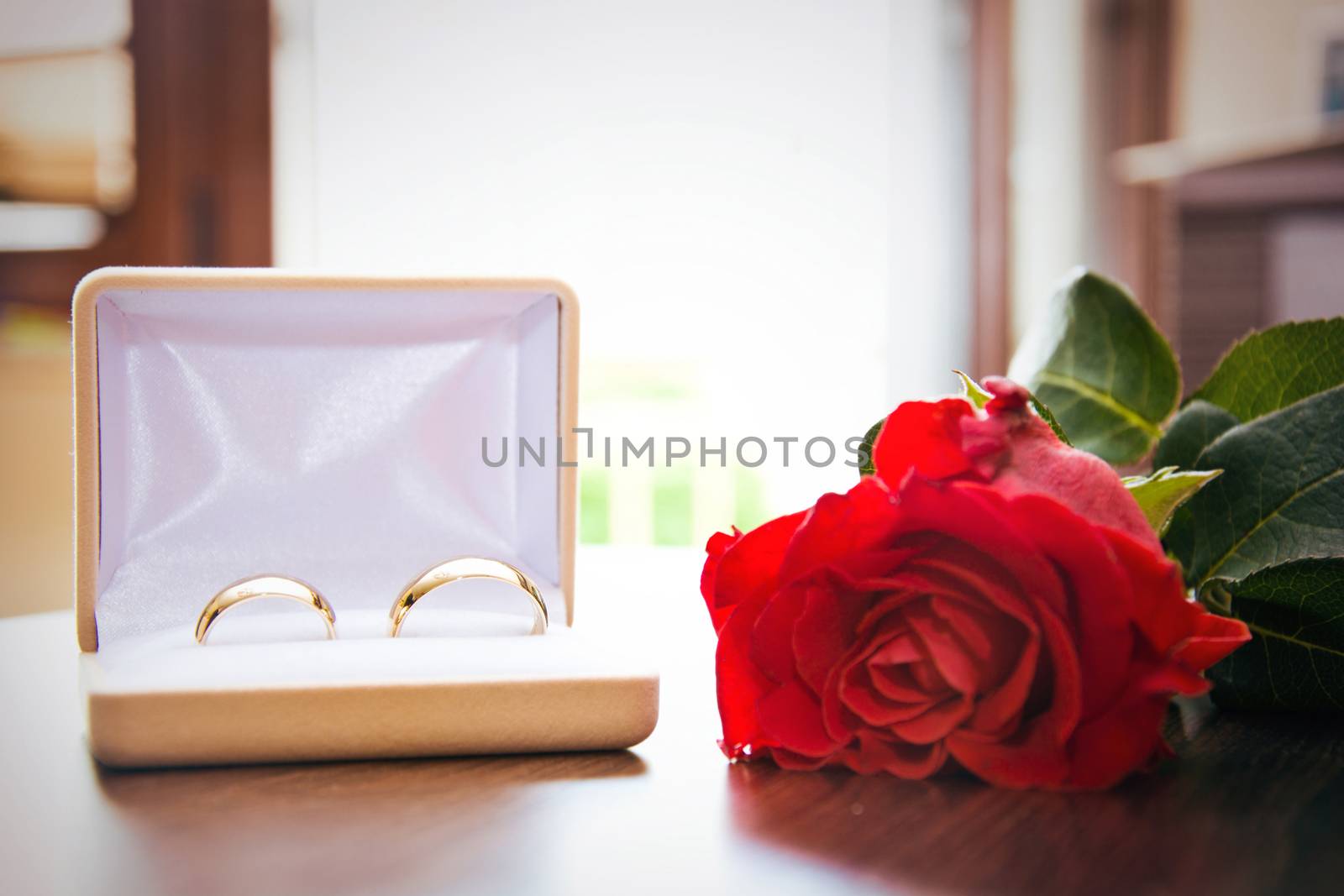 Wedding rings in the case for rings with red rose. Marriage and wedding concept image.
