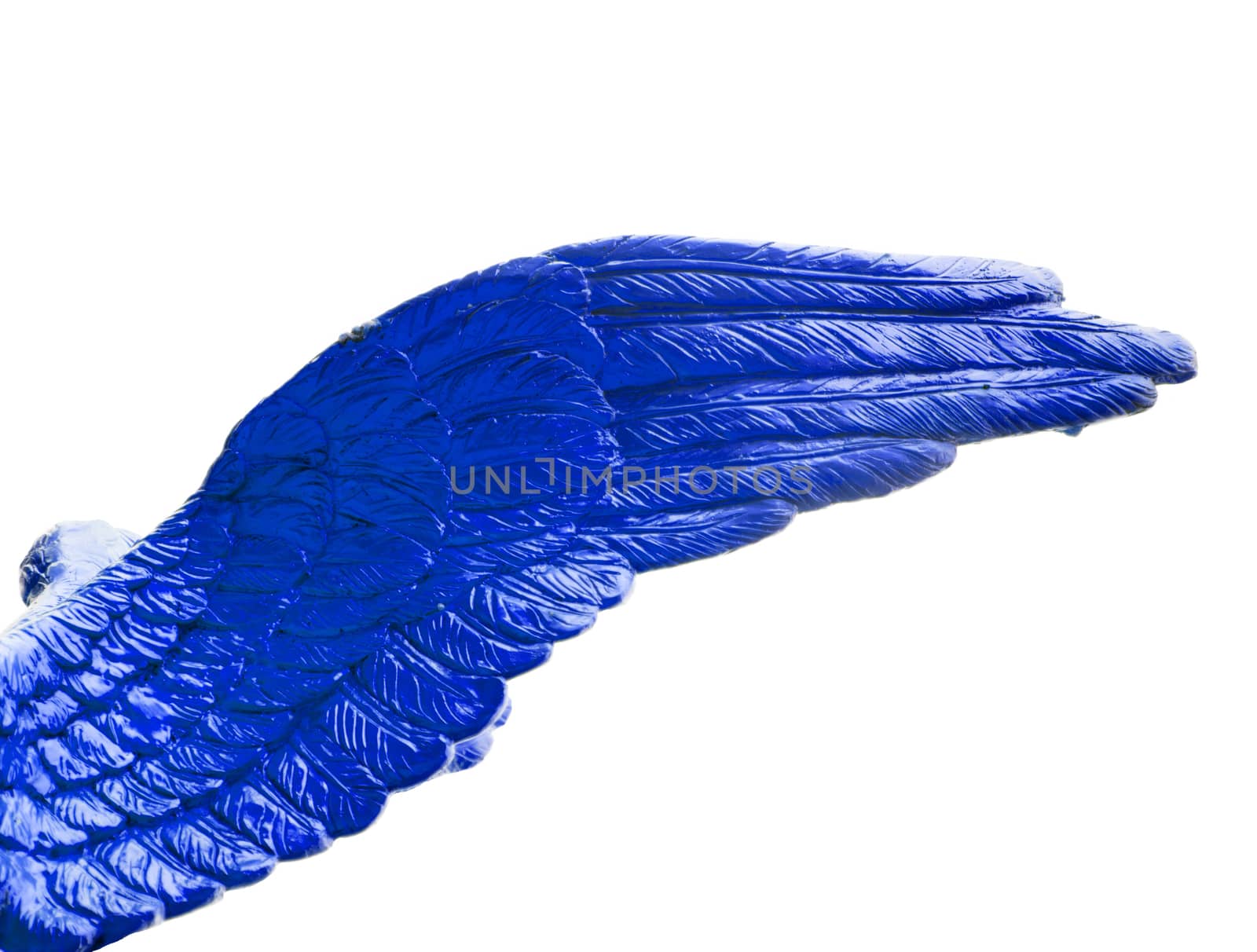 Symbolic composition of colorful wings white background