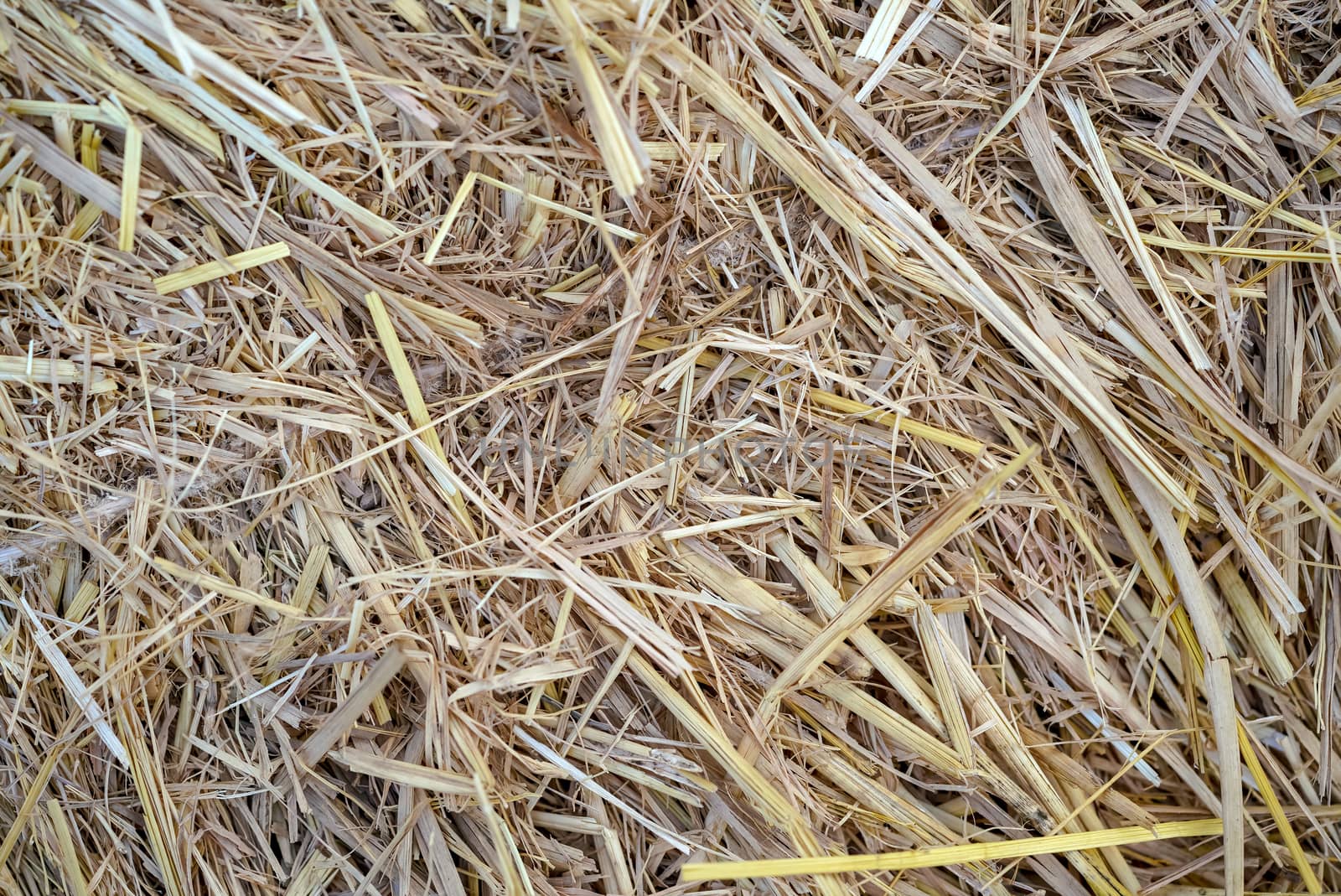 Dry straw background pattern (Top View). Nature Background by chadchai_k