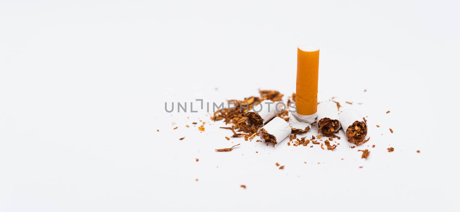 31 May of World No Tobacco Day, no smoking, close up of broken pile pin down cigarette or tobacco on white background banner with copy space, and Warning lung health concept