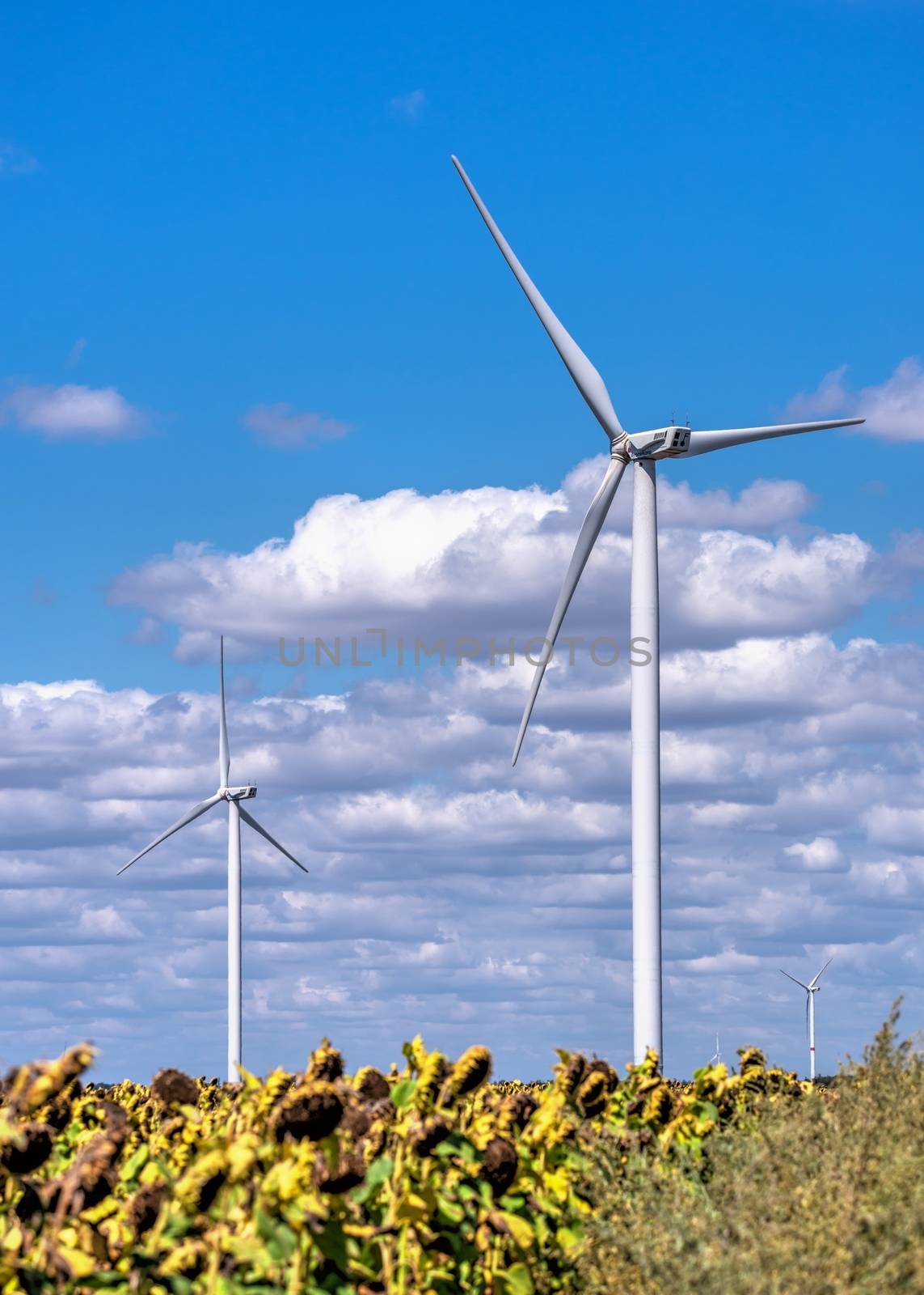 Parutino, Ukraine 08.17.2019. Wind generators in a sunflower field against a cloudy sky near the Ancient greek colony Olbia in Ukraine on a sunny summer day