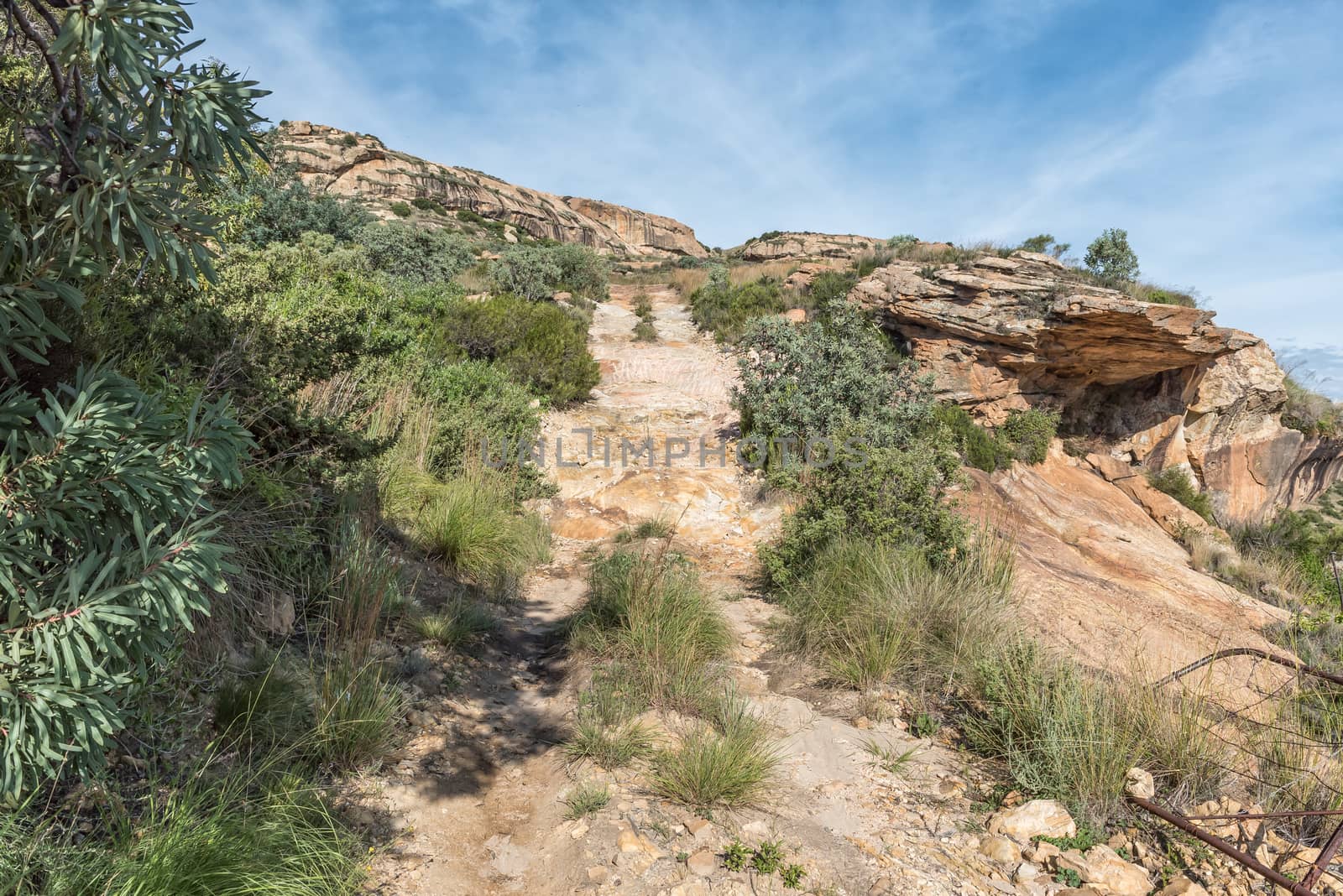 An off-road trail at Uithoek near Fouriesburg in the Free State Province