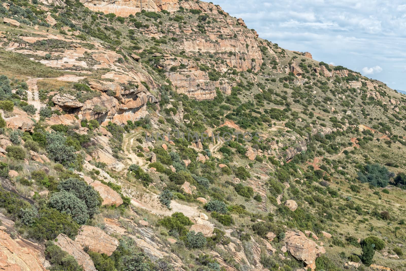 Off-road trail on a mountain at Uithoek near Fouriesburg by dpreezg