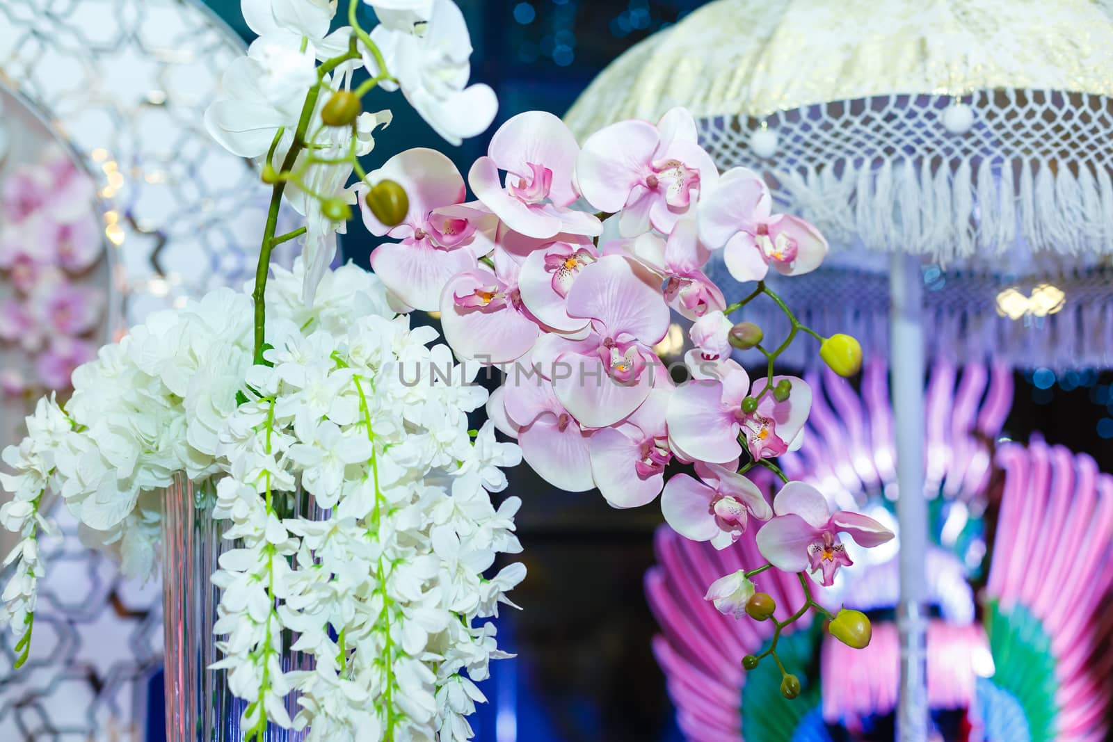 A close up of a flower. High quality photo