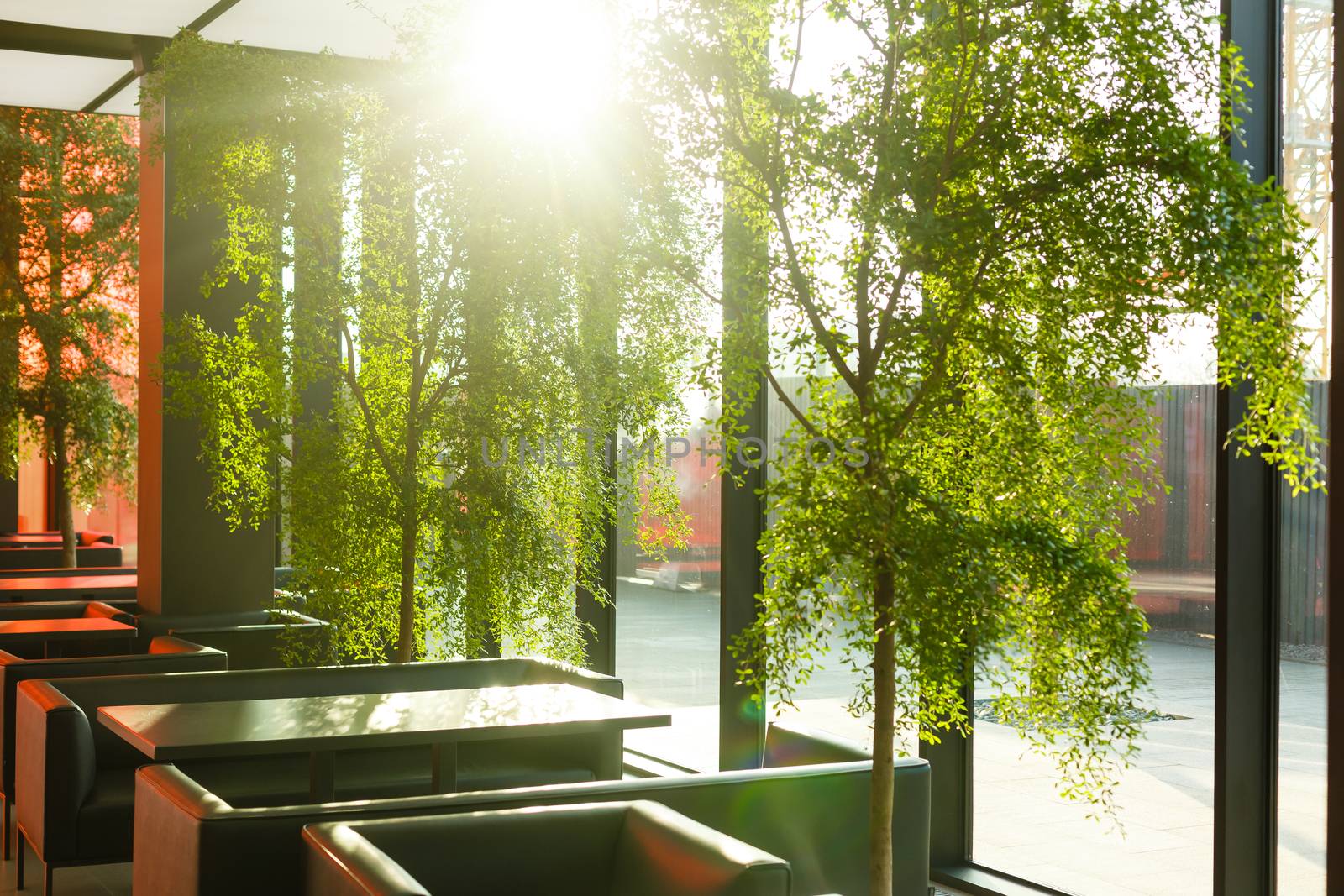 A dining room table in front of a window. High quality photo