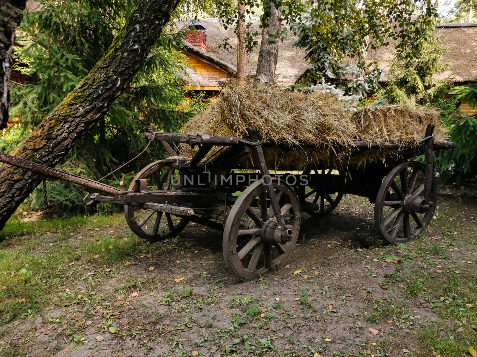 A close up of a horse drawn carriage by Andelov13