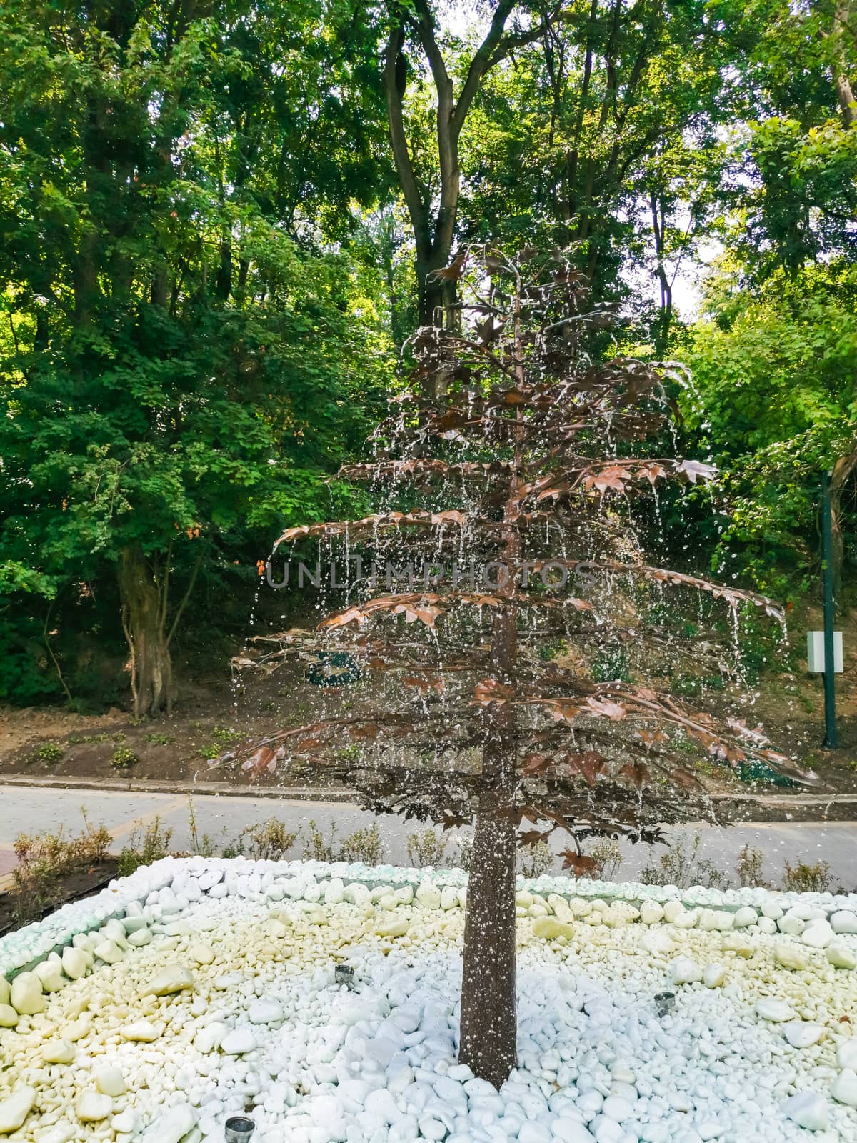 A tree in a forest. High quality photo