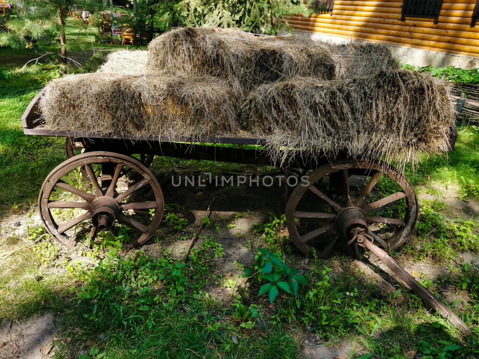 A bicycle parked on the grass by Andelov13