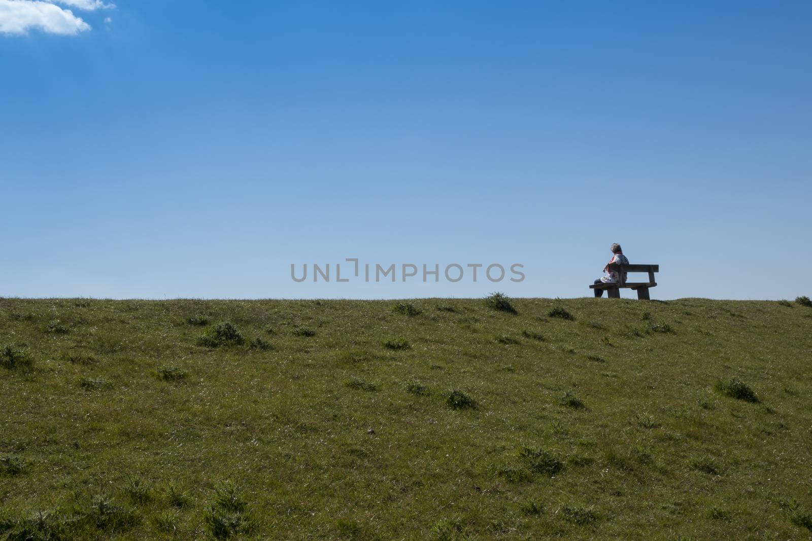 adult woman sits on a bench enjoying nature with blue sky and green grassalleen