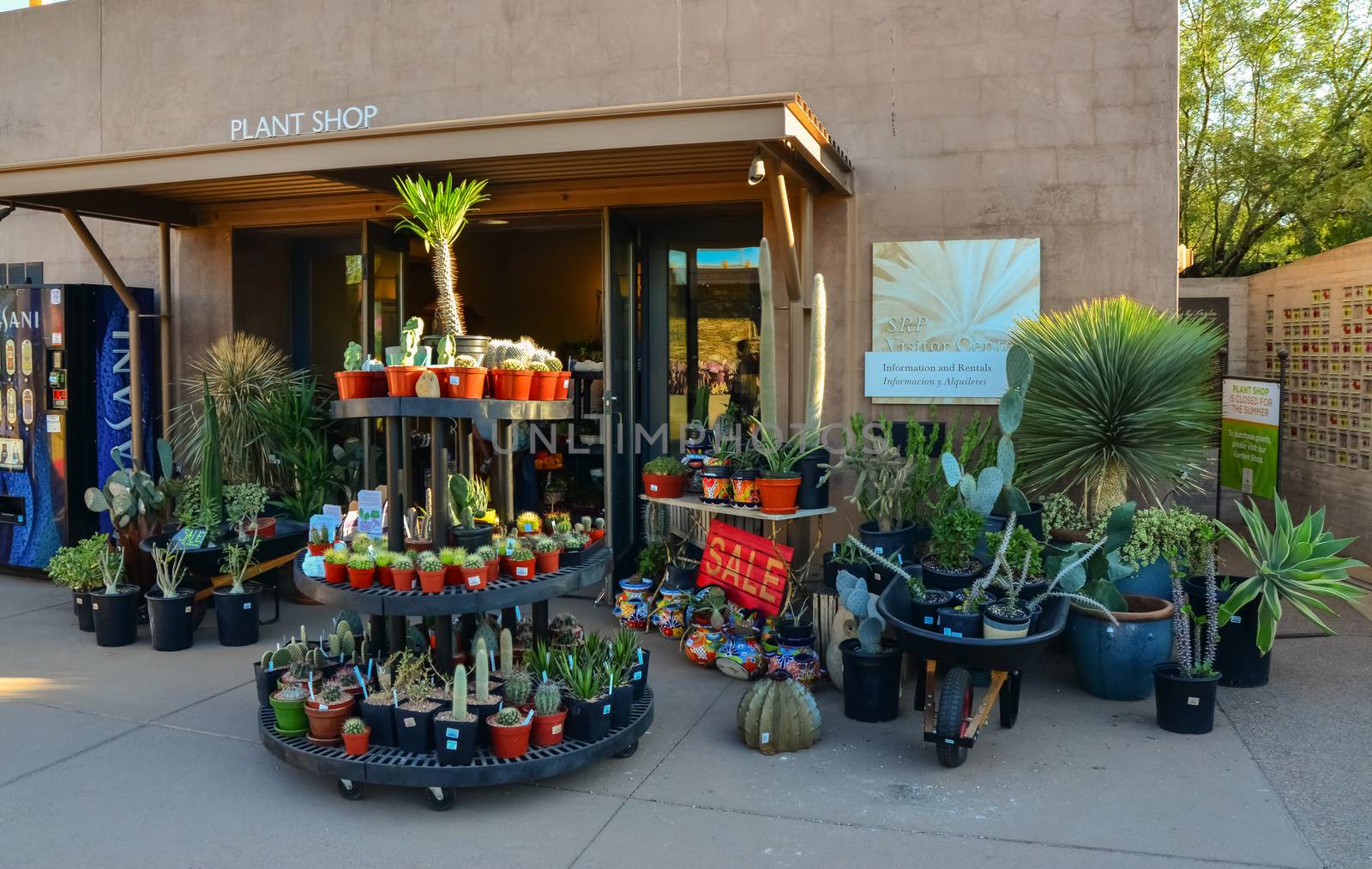 USA, PHENIX, ARIZONA- NOVEMBER 17, 2019:  a shop selling different types of cacti and plants in the Phoenix Botanical Garden, Arizona