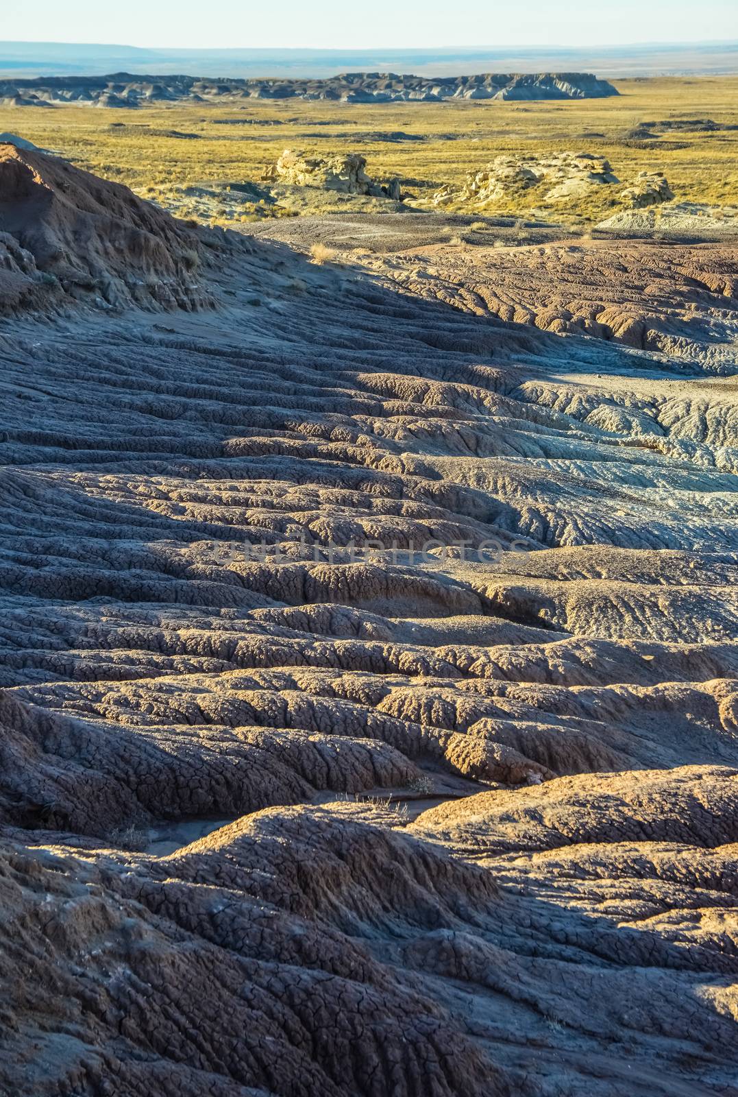 Landscape, panorama of erosive multi-colored clay in Petrified Forest National Park, Arizona