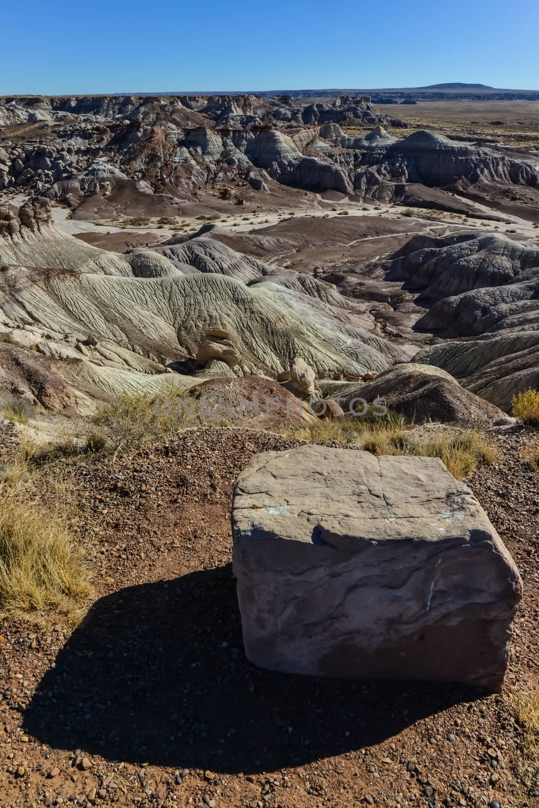 The Painted Desert on a sunny day. Diverse sedimentary rocks and clay washed out by water. Petrified Forest National Park, USA,  Arizona