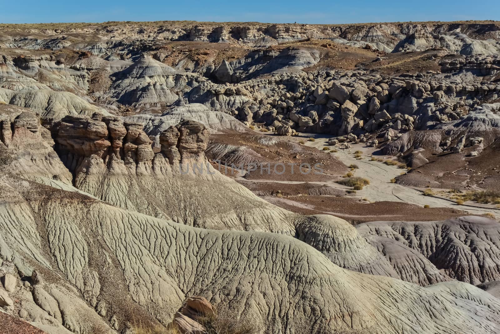 The Painted Desert on a sunny day. Diverse sedimentary rocks and clay washed out by water. Petrified Forest National Park, USA,  Arizona