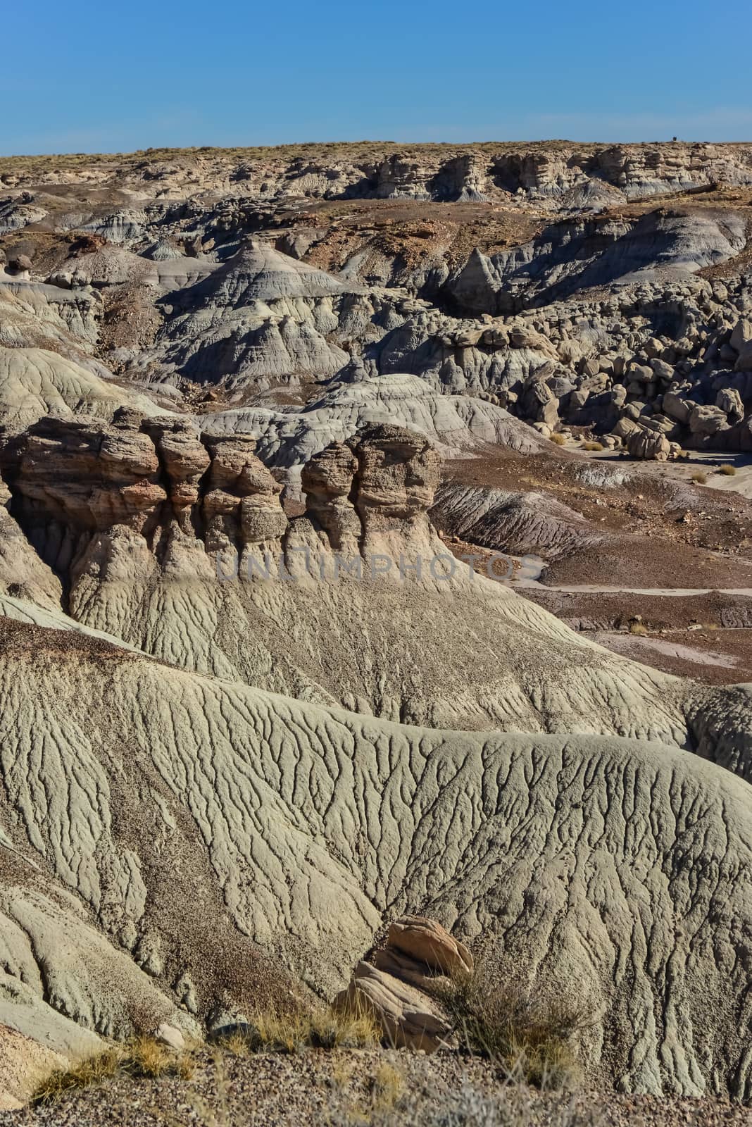 The Painted Desert on a sunny day. Diverse sedimentary rocks and clay washed out by water. Petrified Forest National Park, USA,  Arizona