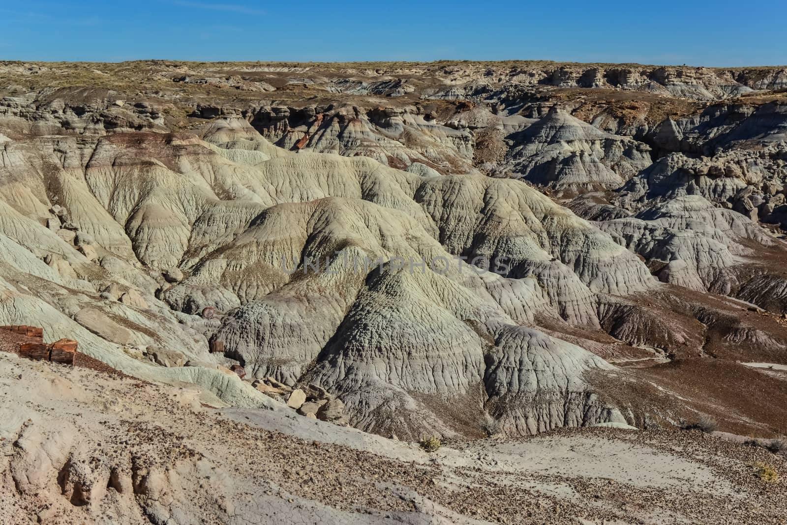 The Painted Desert on a sunny day. Diverse sedimentary rocks and clay washed out by water. Petrified Forest National Park, USA,  Arizona
