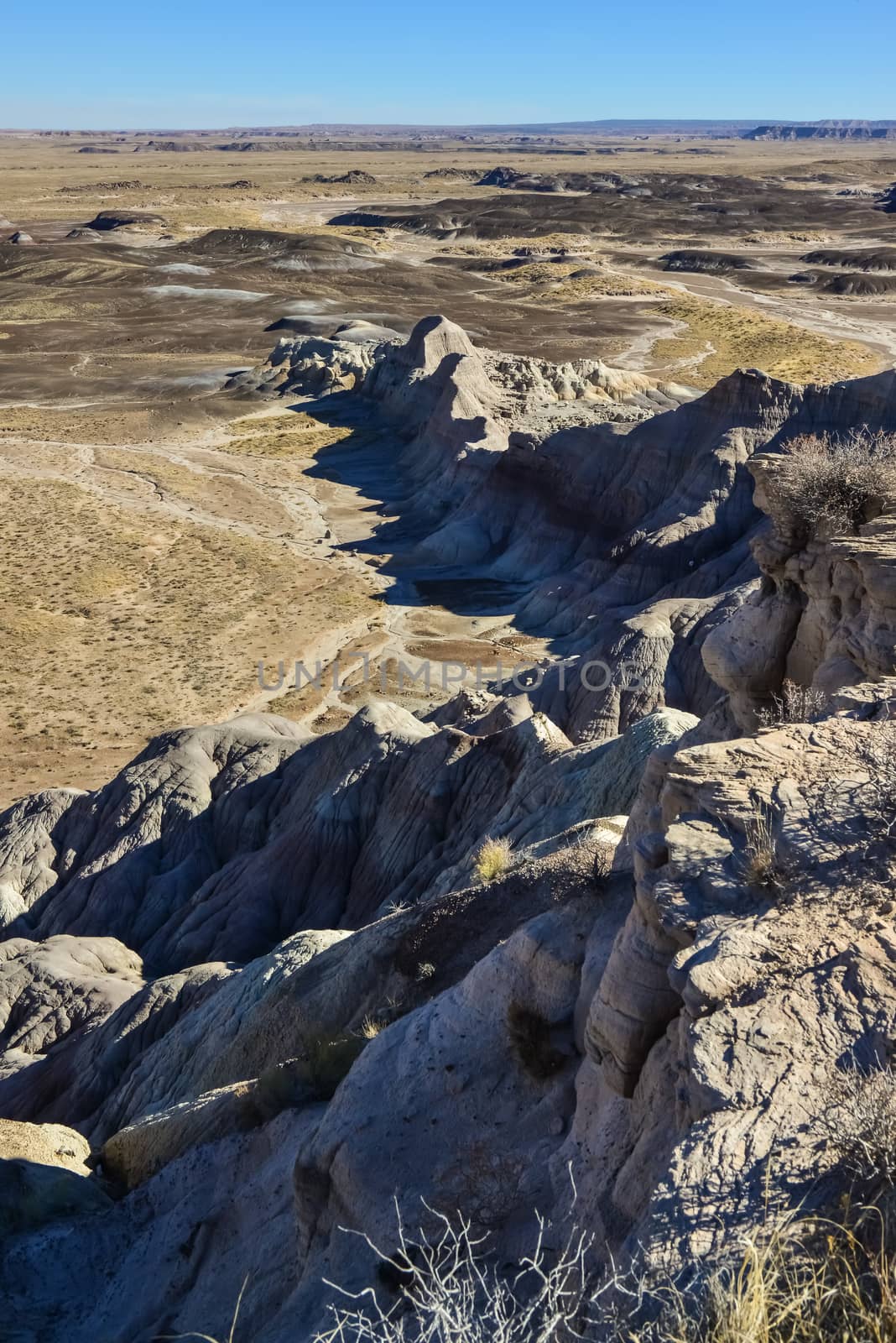 The Painted Desert on a sunny day. Diverse sedimentary rocks and clay washed out by water. Petrified Forest National Park, USA,  Arizona