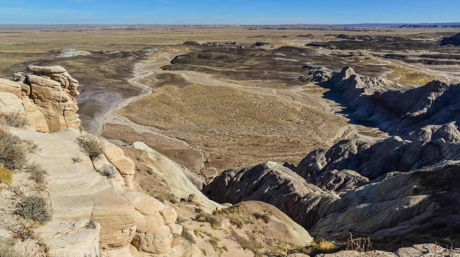 The Painted Desert on a sunny day. Diverse sedimentary rocks and clay washed out by water. Petrified Forest National Park, USA,  Arizona