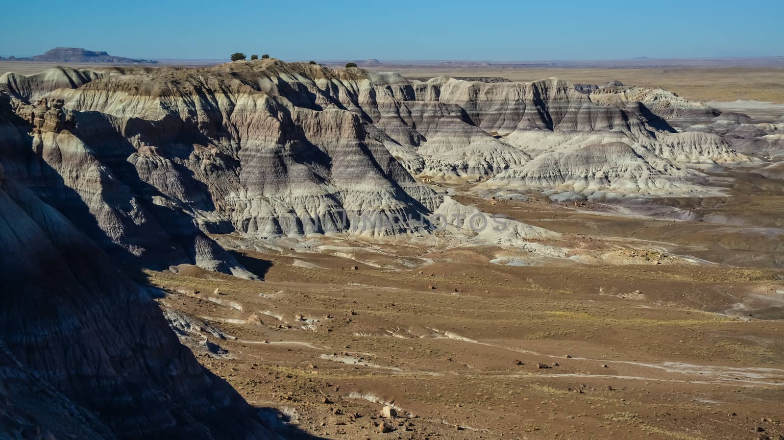 The Painted Desert on a sunny day. Diverse sedimentary rocks and clay washed out by water. Petrified Forest National Park, USA,  Arizona