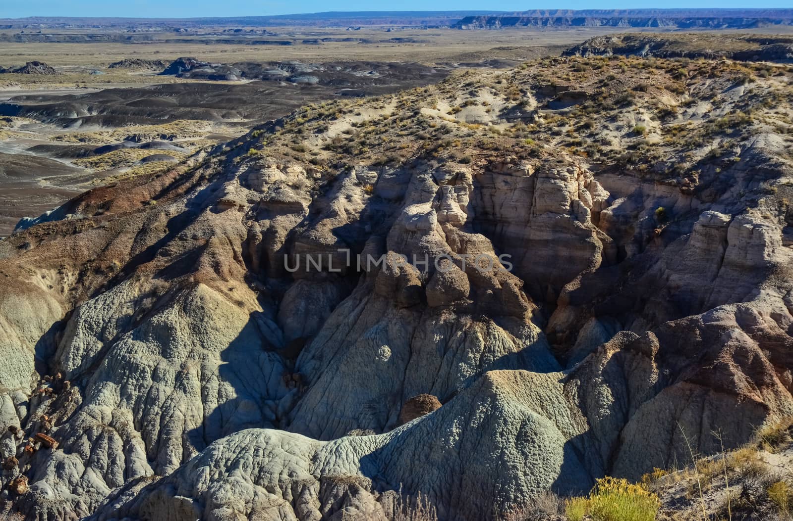 The Painted Desert on a sunny day. Diverse sedimentary rocks and clay washed out by water. Petrified Forest National Park, USA,  Arizona